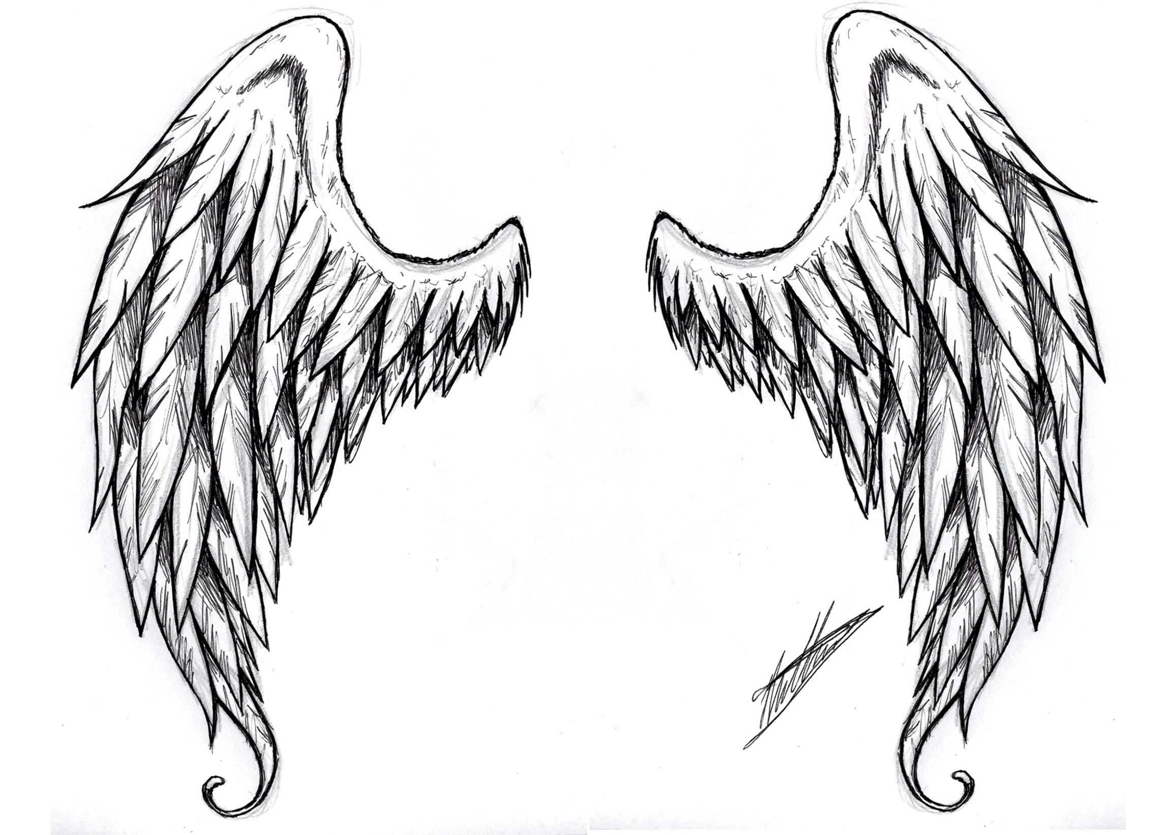 Angel Wings Sketches Drawn Wings Angel Wing - Pencil And In Color ...