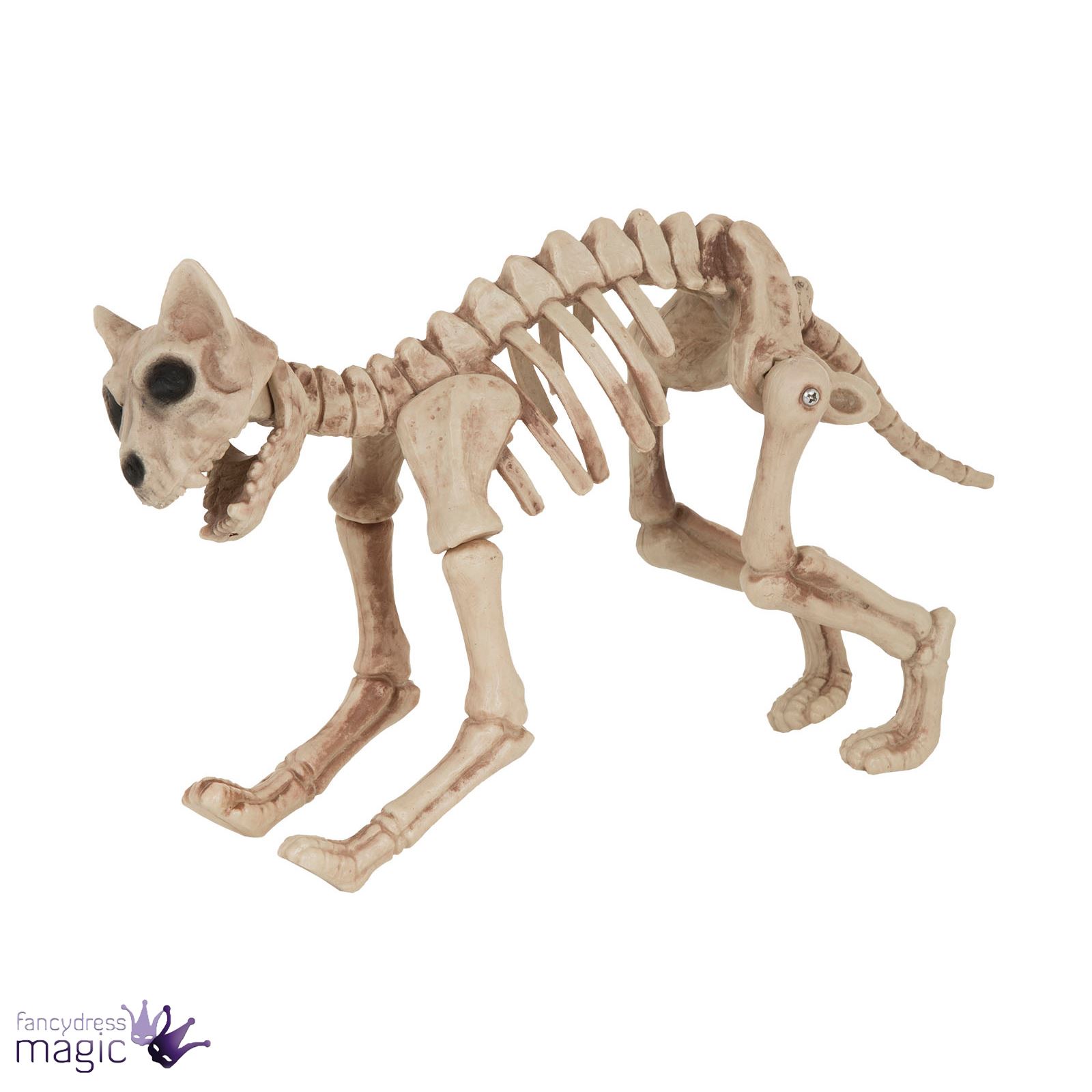 Halloween Dog Cat Rat Bird Skeleton Decoration Animal Bones Prop ...
