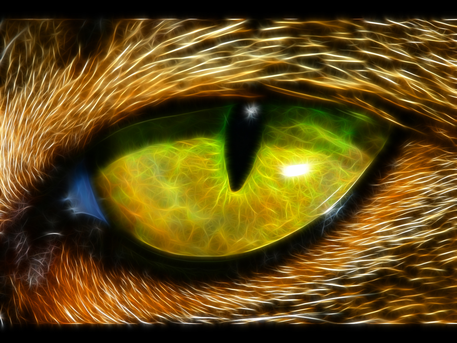 Fractal Animal Eye Wallpaper | 1600x1200 | ID:28706 ...