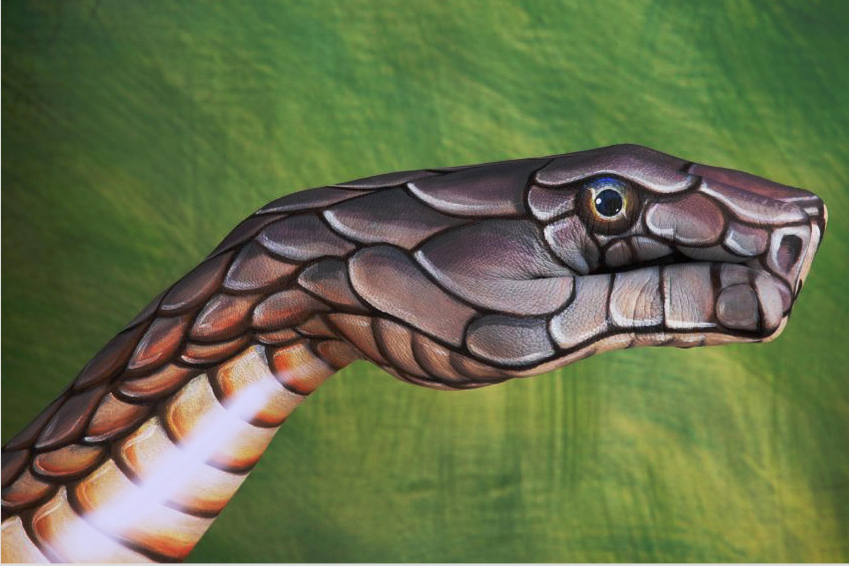 Creative Animal Hand Paintings: Handimals by Guido Daniele - Stylish Eve