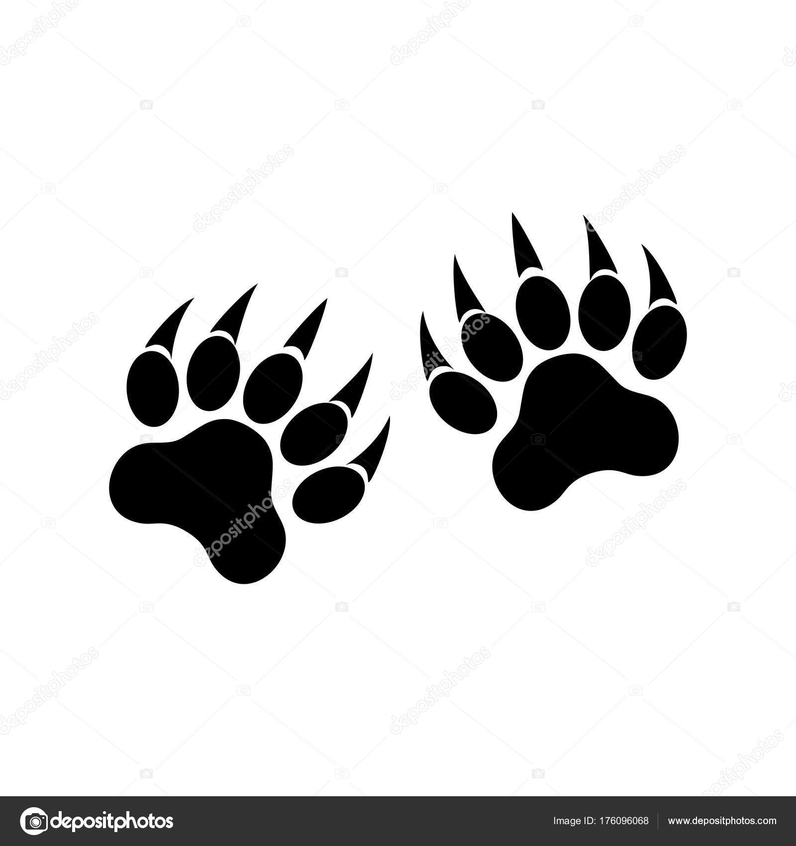 Animal paws with claws. Tiger paw — Stock Vector © MaximStepanov ...