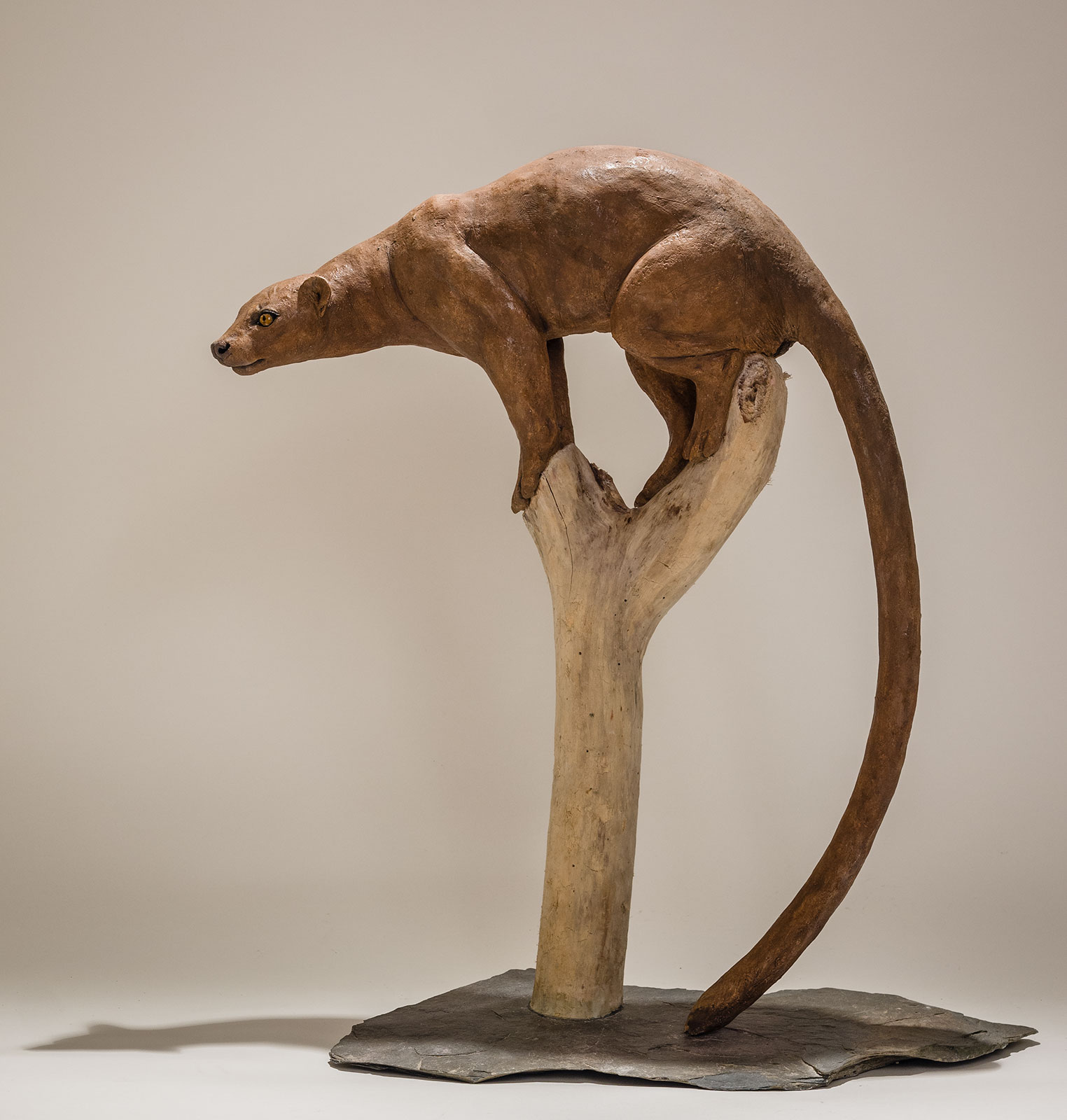 fossa-sculpture-2 - Nick Mackman Animal Sculpture