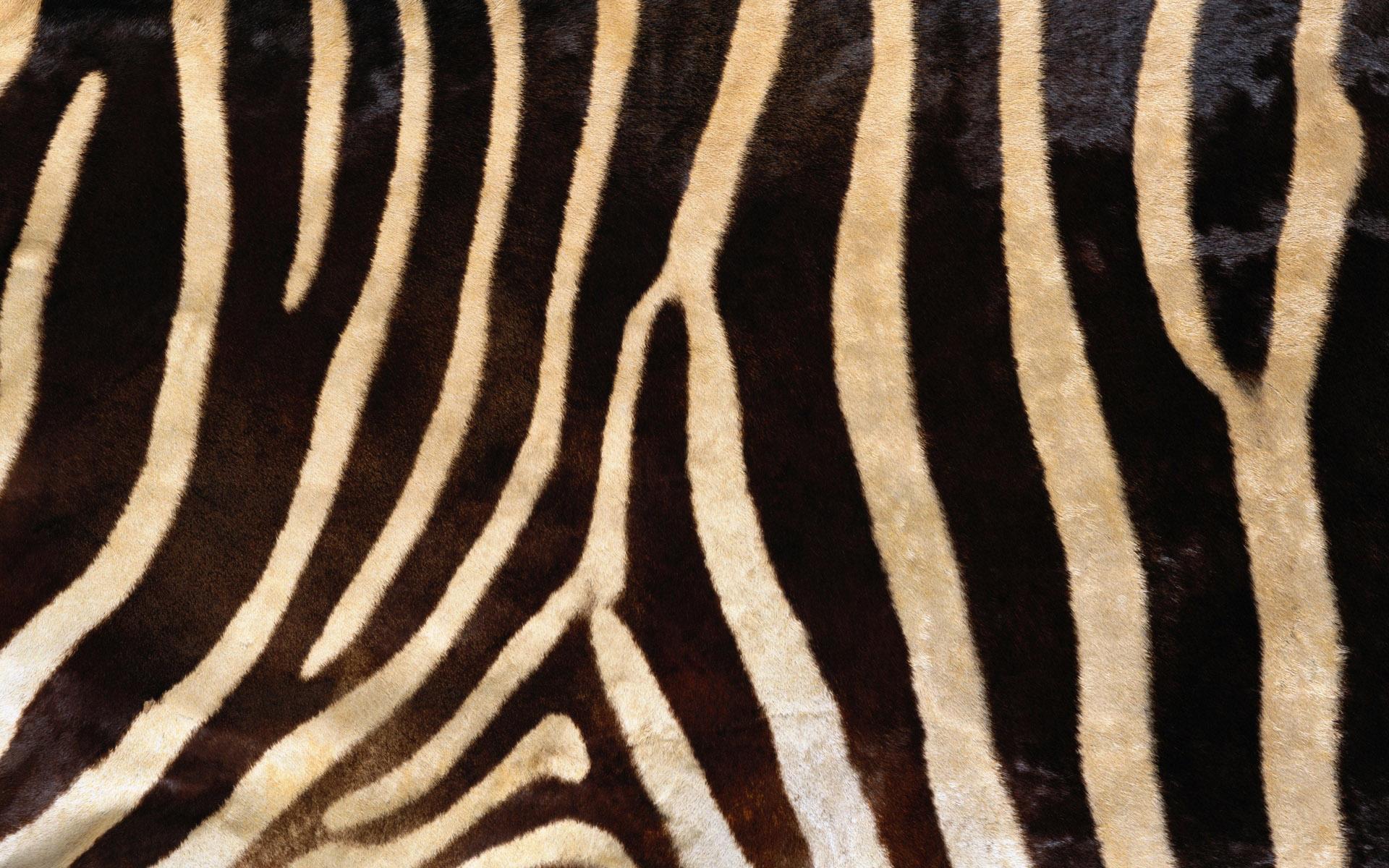 Real Animal Skin Textures in High Definition