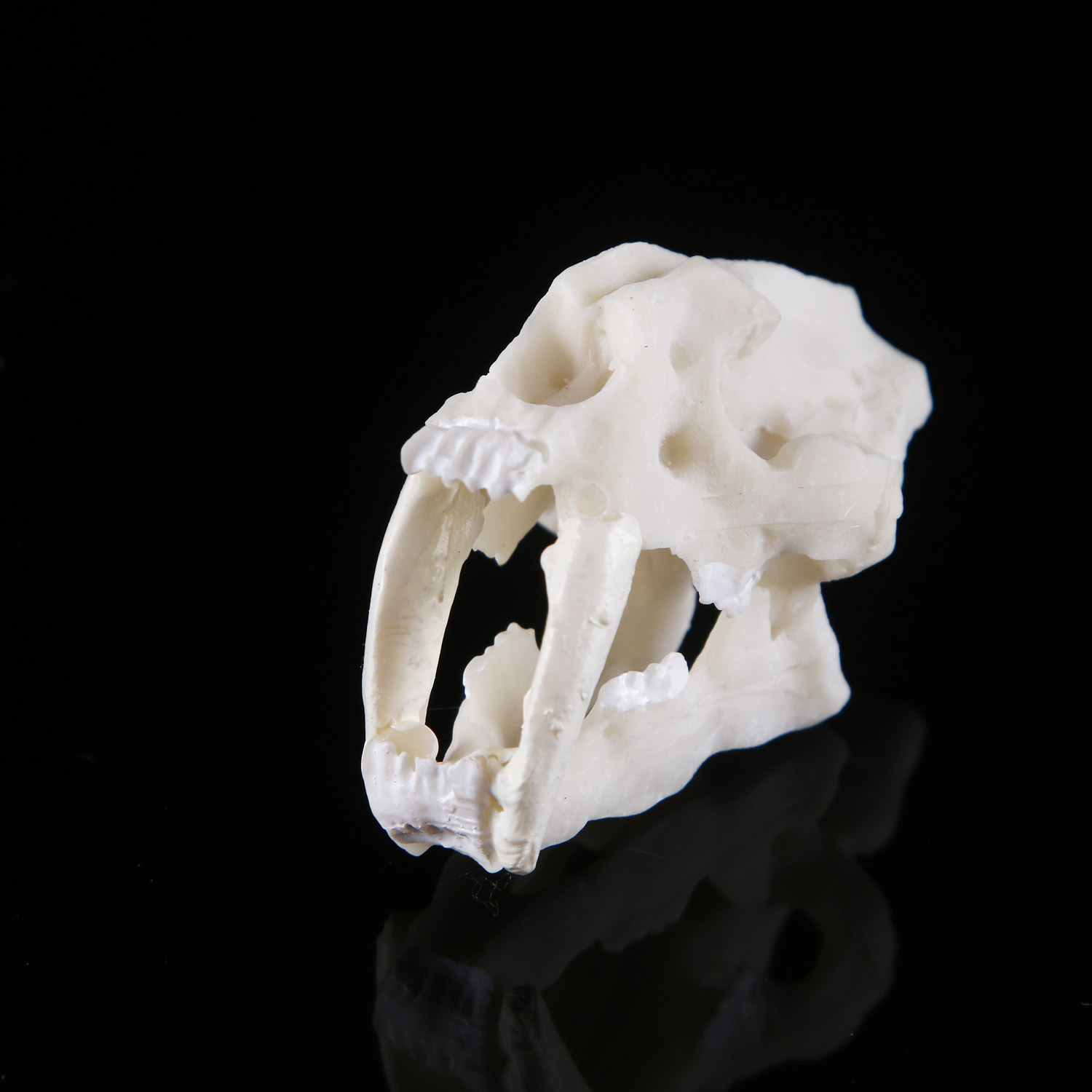 Kawaii Gift Diy Saber toothed Tiger Resin Animal Skull Home Decor ...