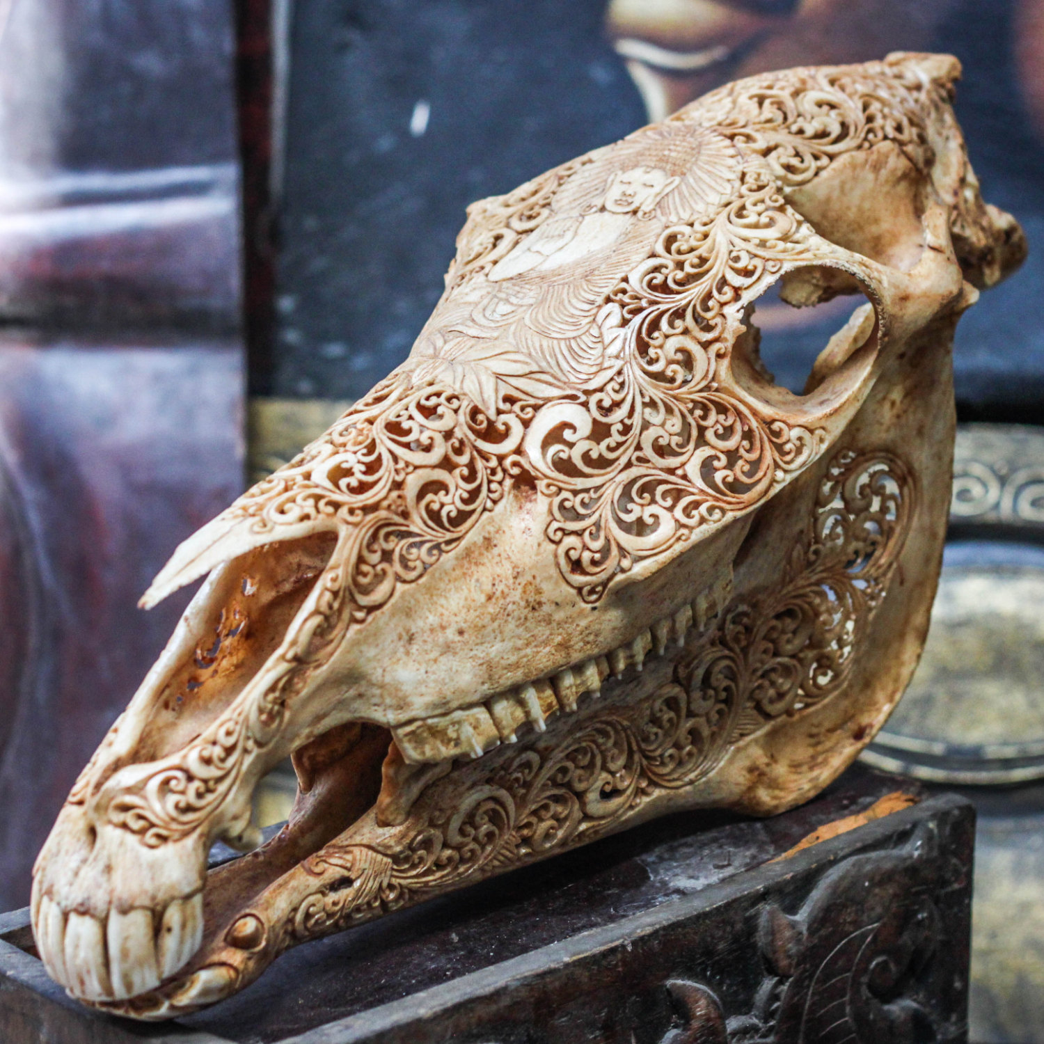 Hand Carved Buddha Horse Skull Real Mule/ Animal Skull Bone with ...