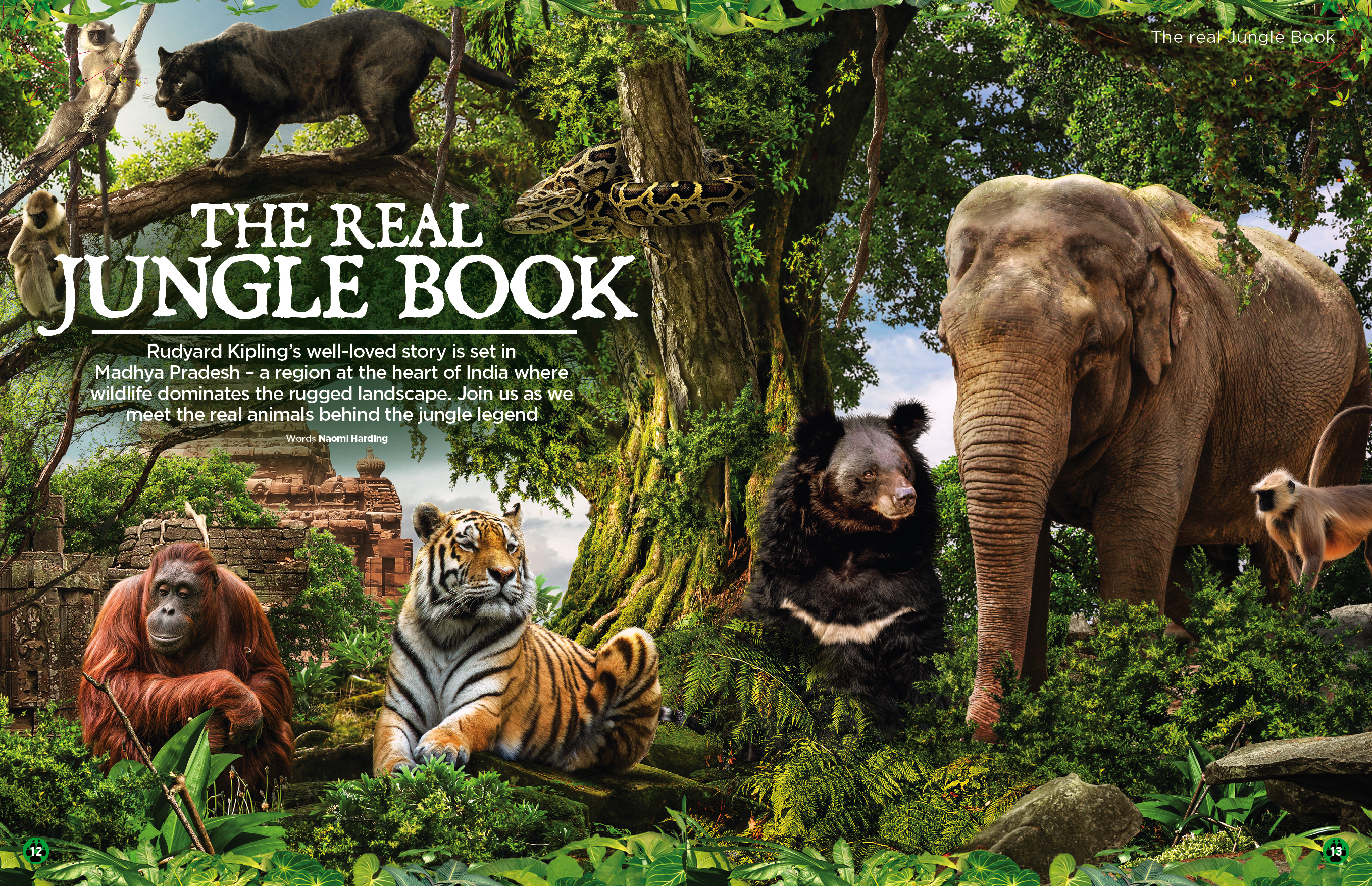 Find out what the Jungle Book animals are really like in issue 32 ...