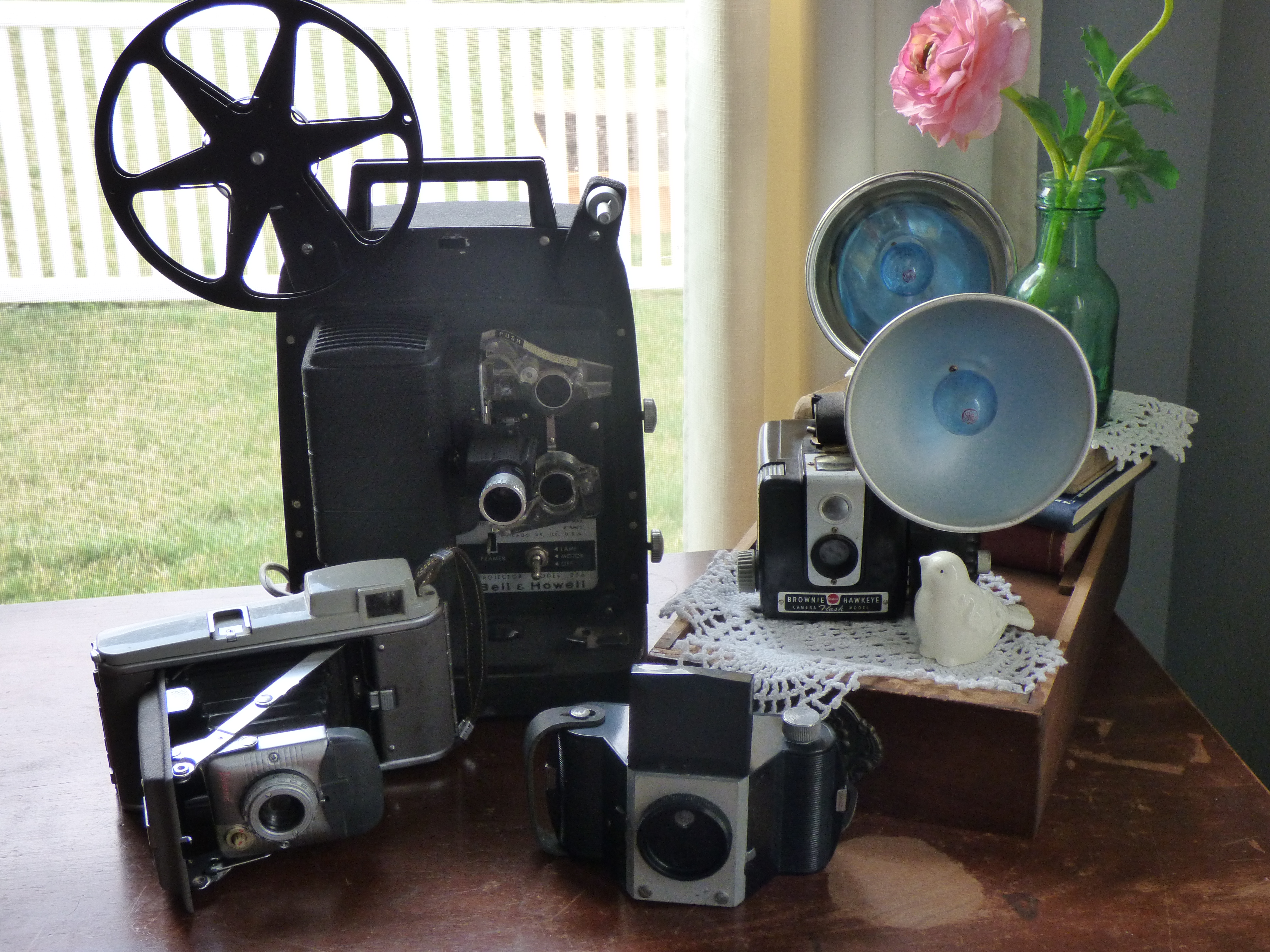 Antique Camera Collection