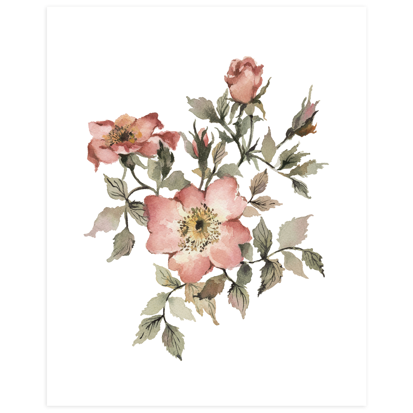 Wildfield Paper Co. - Antique Roses