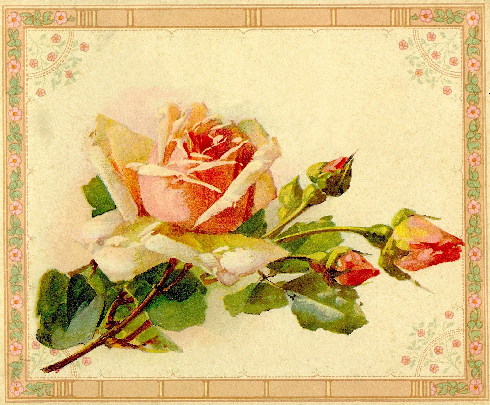 Antique Images: Antique Rose Clip Art: Yellow Rose Image from ...