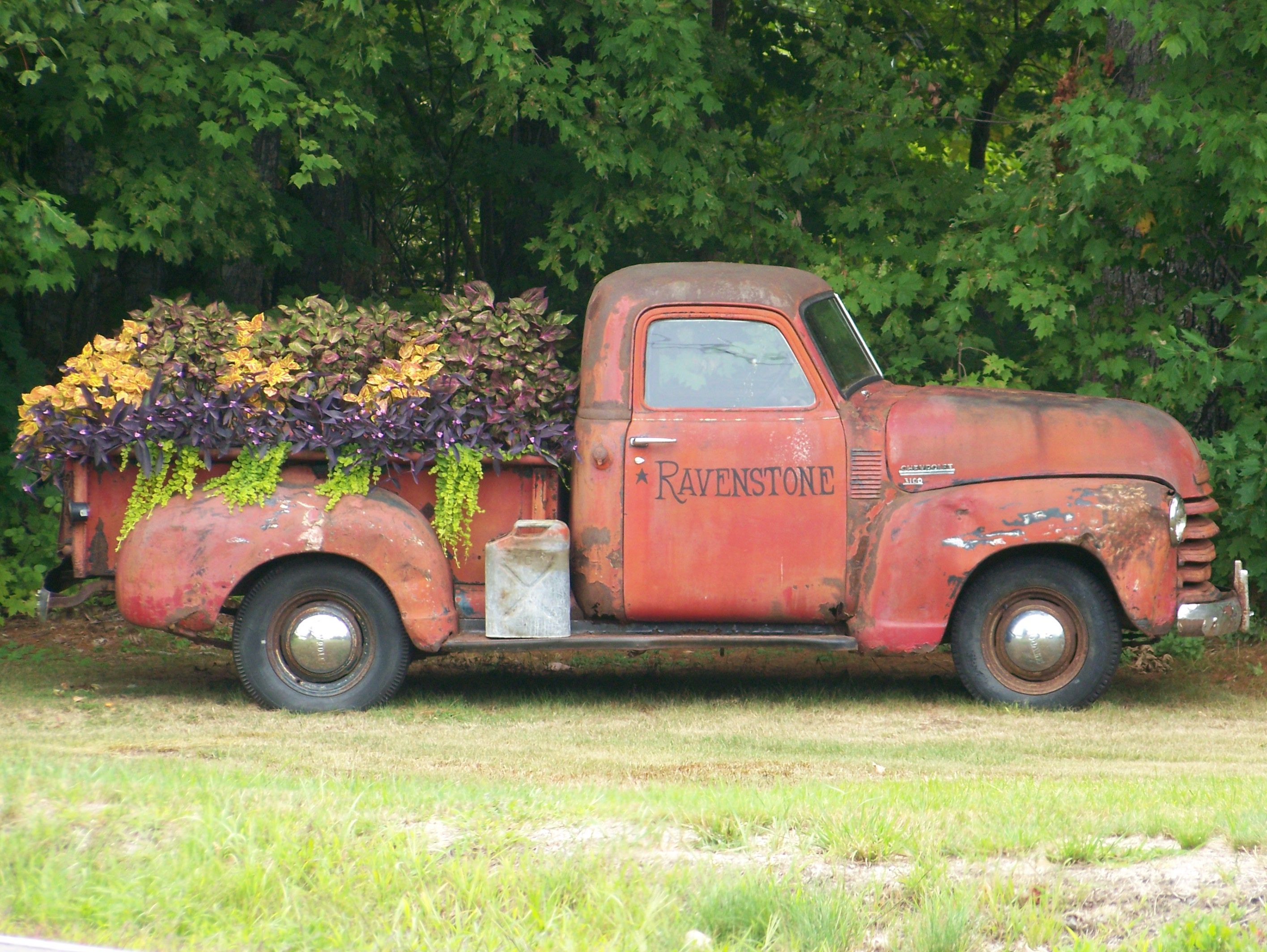 Antique Truck With Flower Filled Bed | Antique trucks, Flower and ...