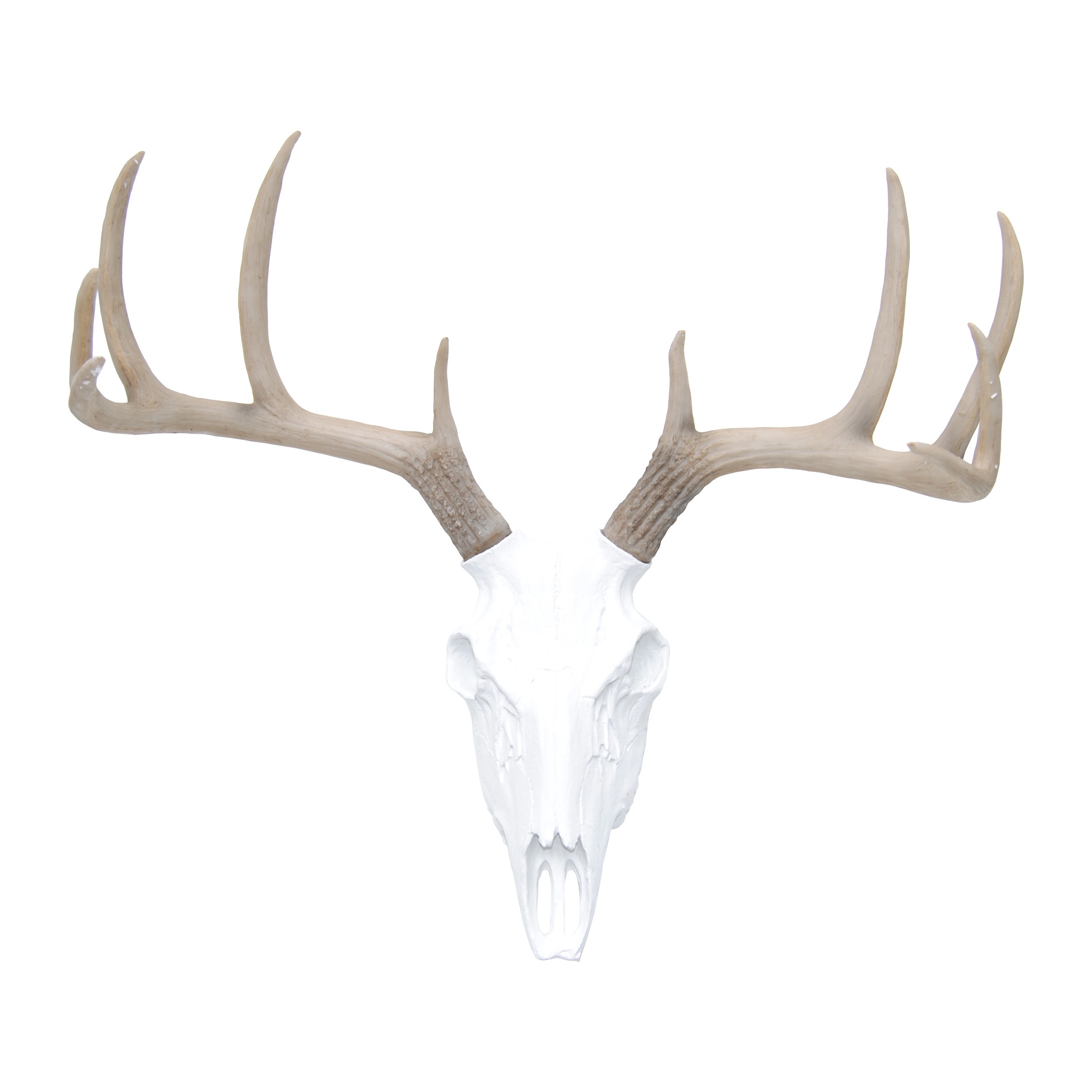 Faux Whitetail Deer Skull // White with Natural Antlers