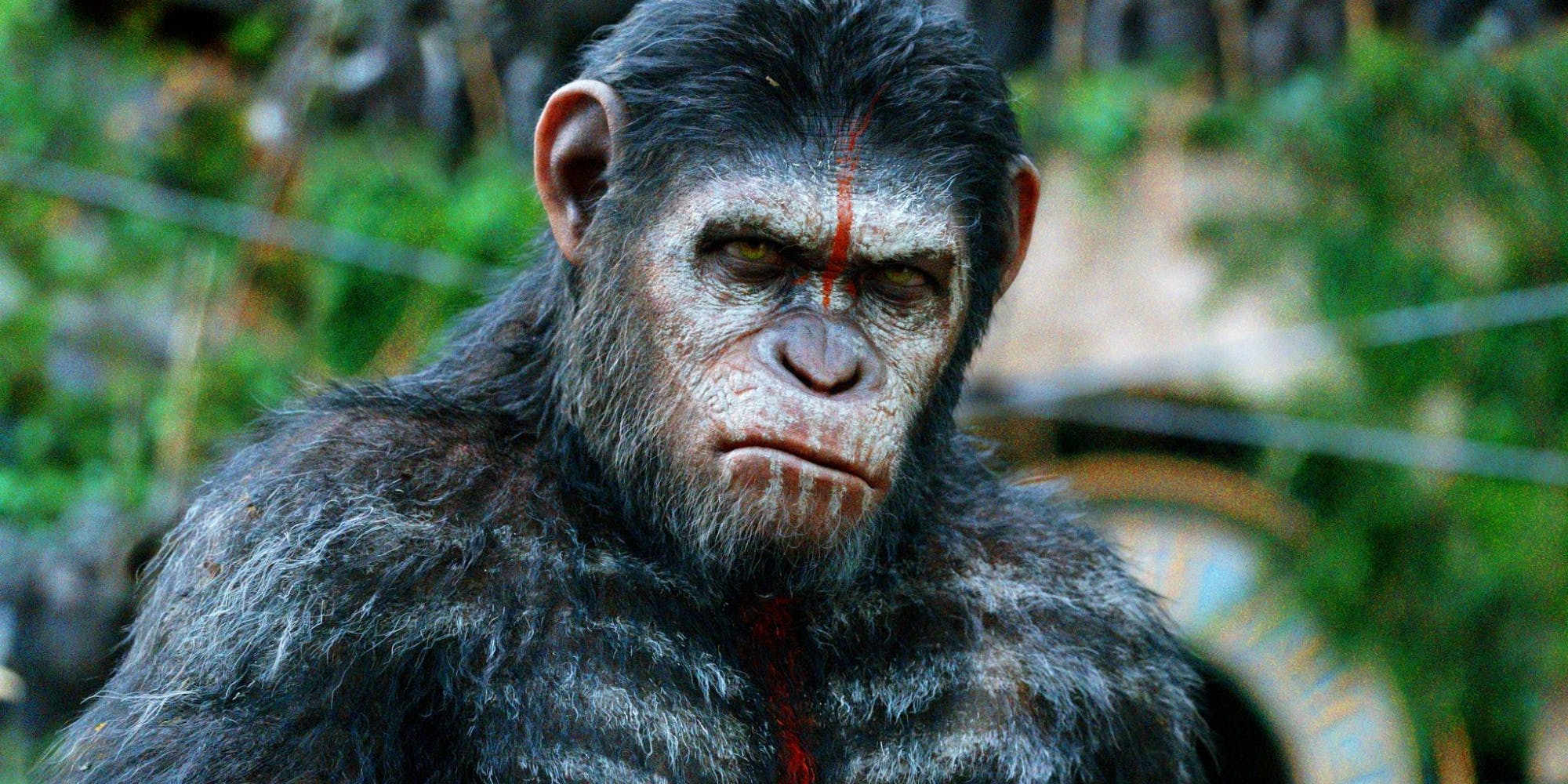 Caesar Is More 'Human' in War for the Planet of the Apes
