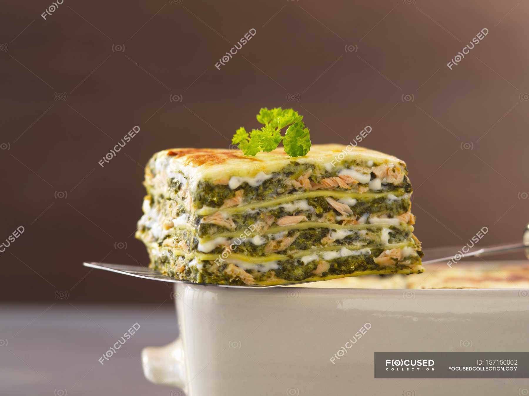 Piece of salmon and sorrel lasagne — Stock Photo | #157150002