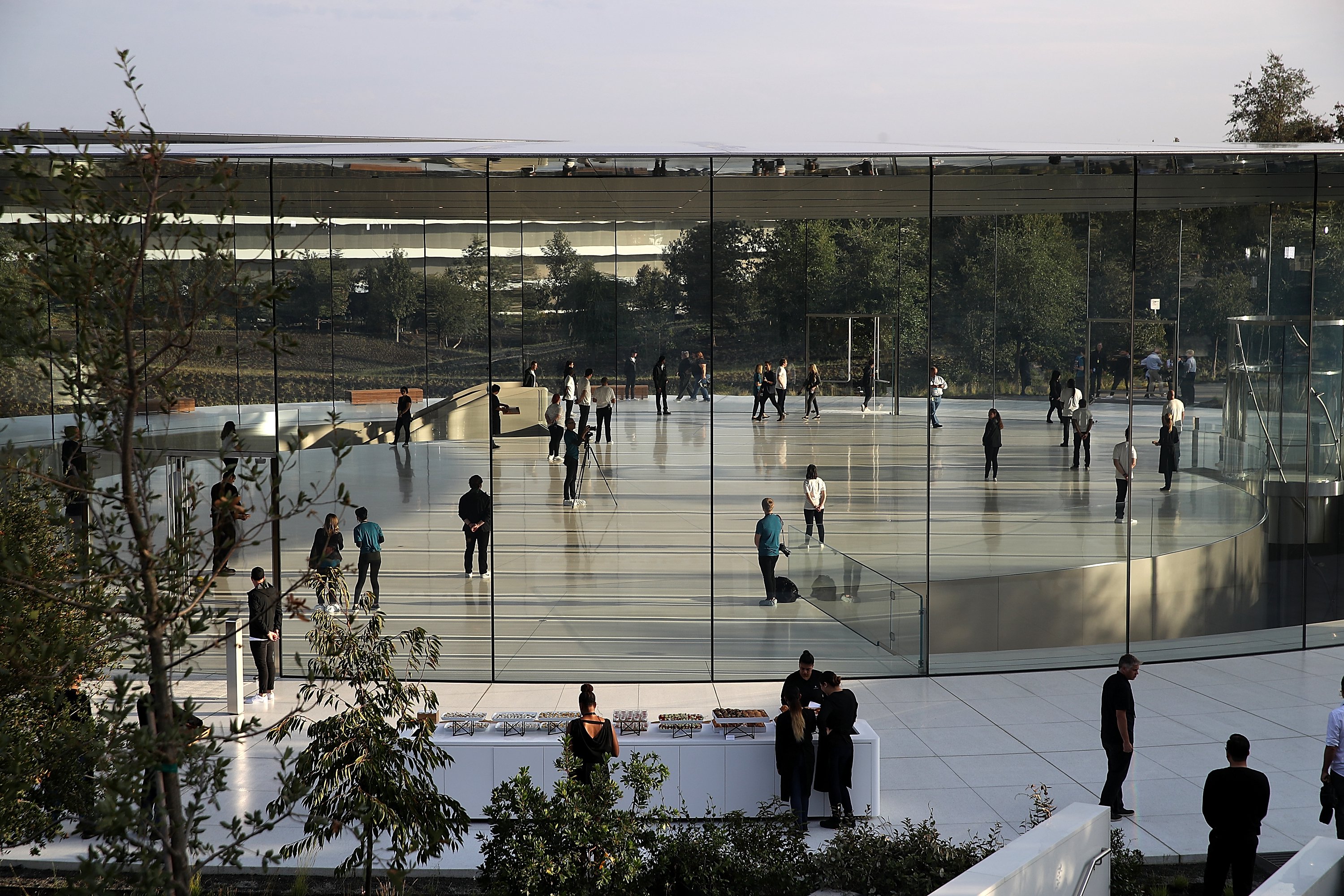 Apple Employees Smacking Into New Headquarters' Glass Walls | Time
