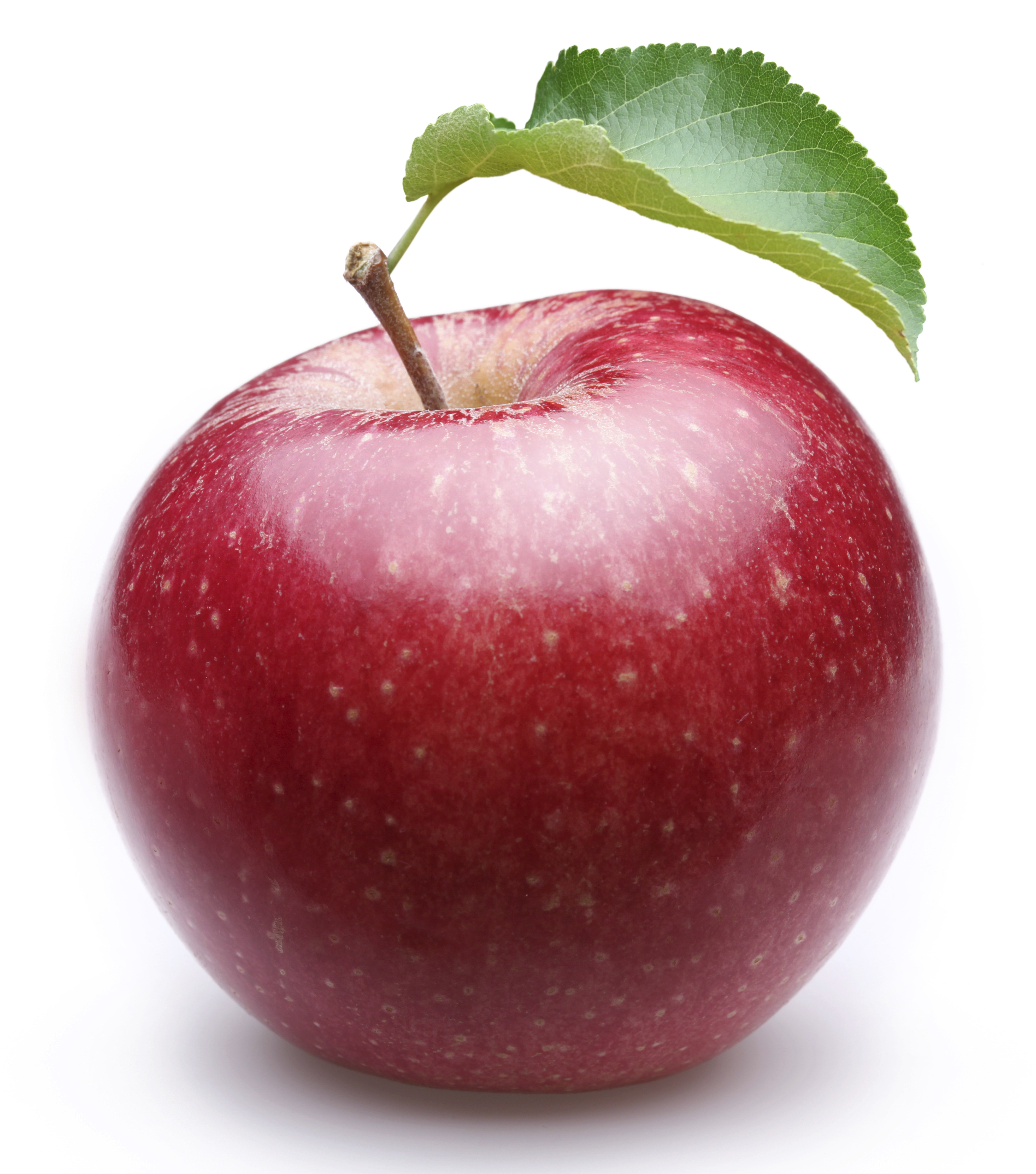 The Apple: A Perfect Fruit for Weight Loss? – The Secret Ingredient