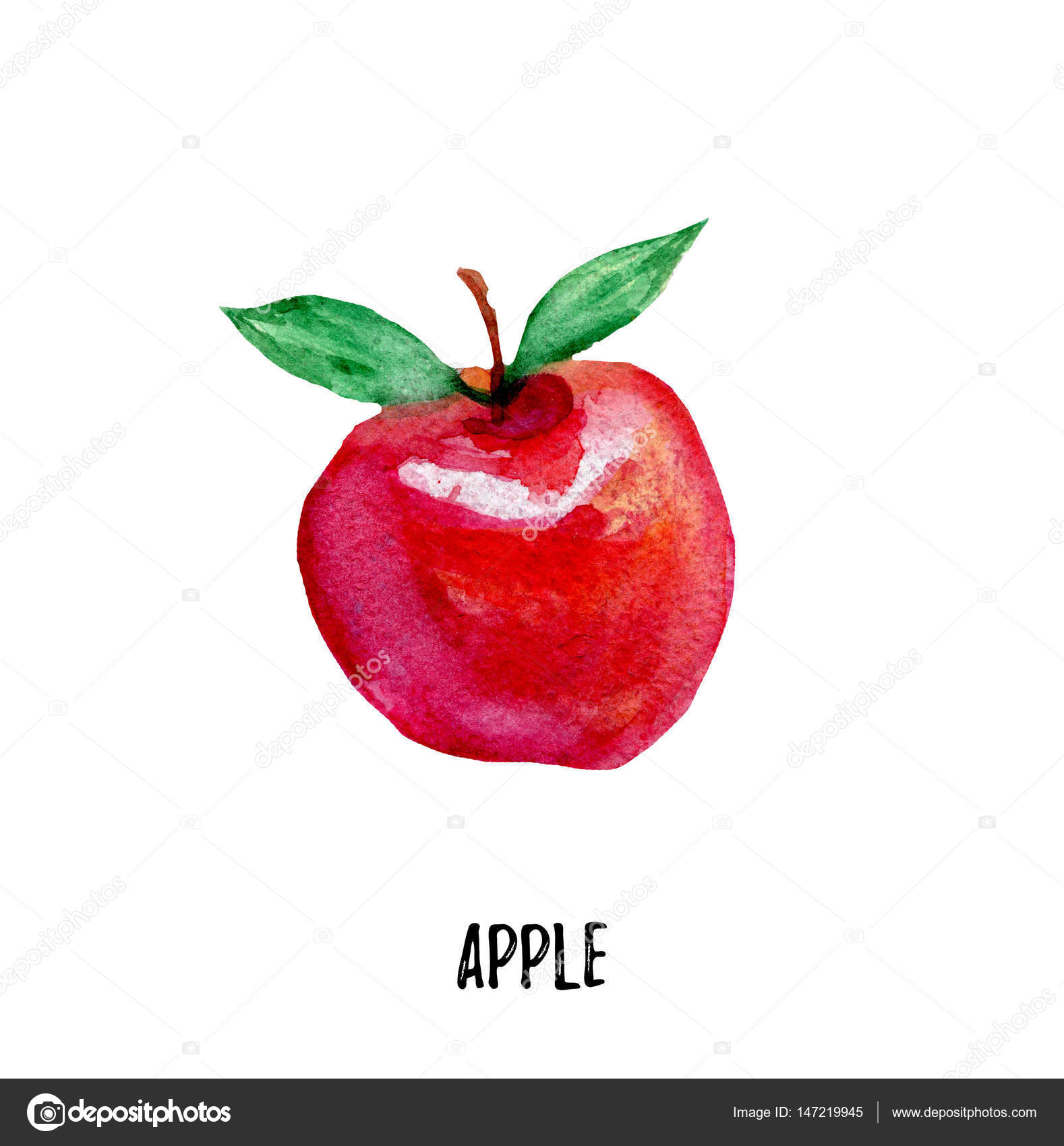 apple illustration. Hand drawn watercolor — Stock Photo © Yunaco ...