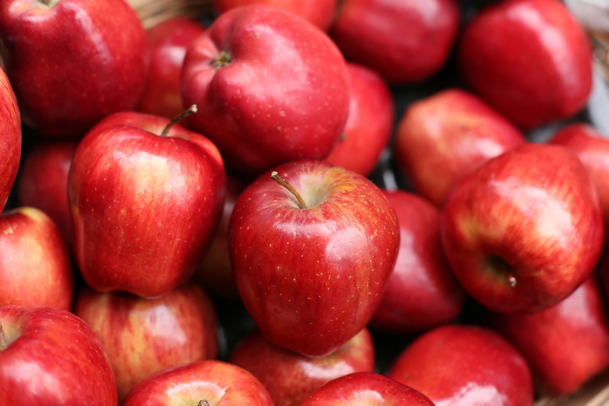 Apples Allergies in Dogs - Symptoms, Causes, Diagnosis, Treatment ...