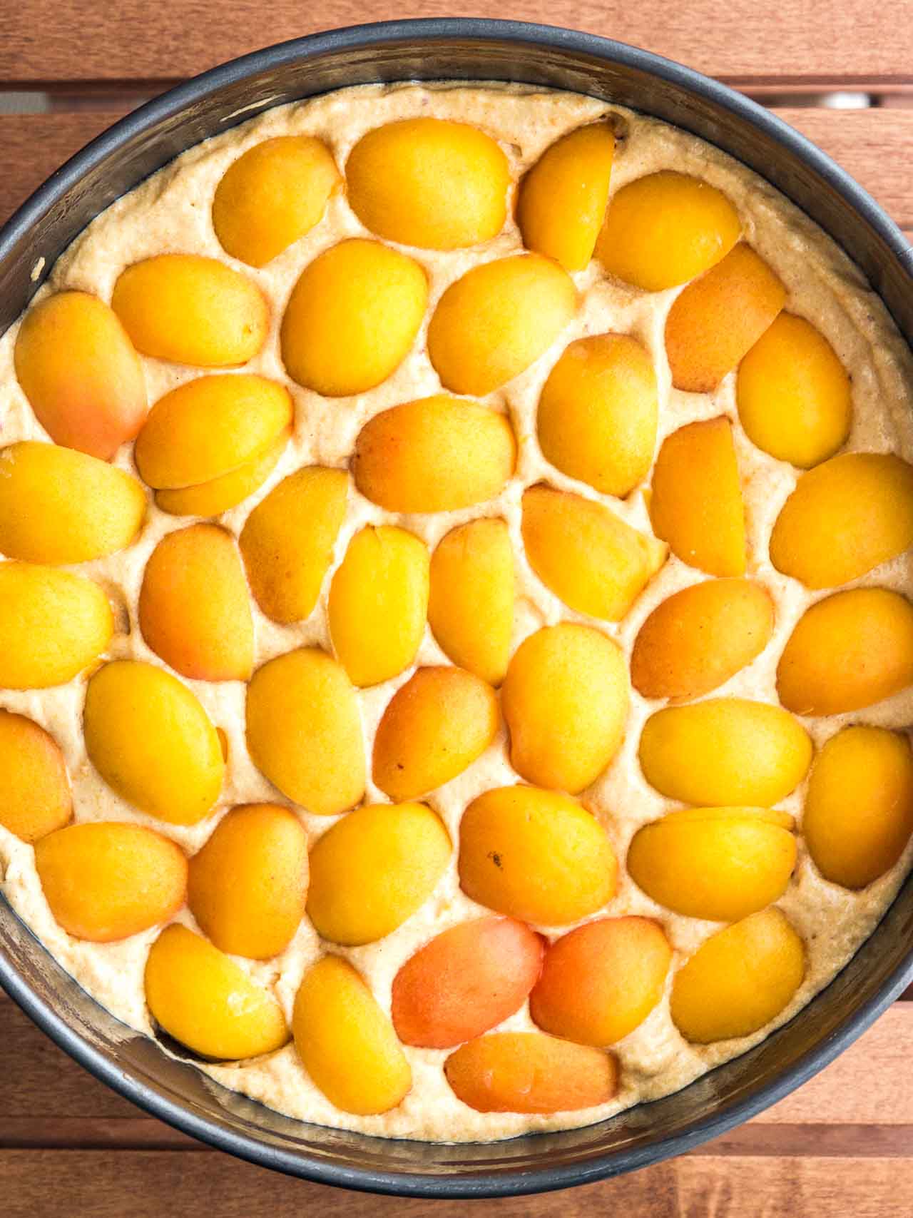 Apricot Cake Recipe with Fresh Apricots | Plated Cravings