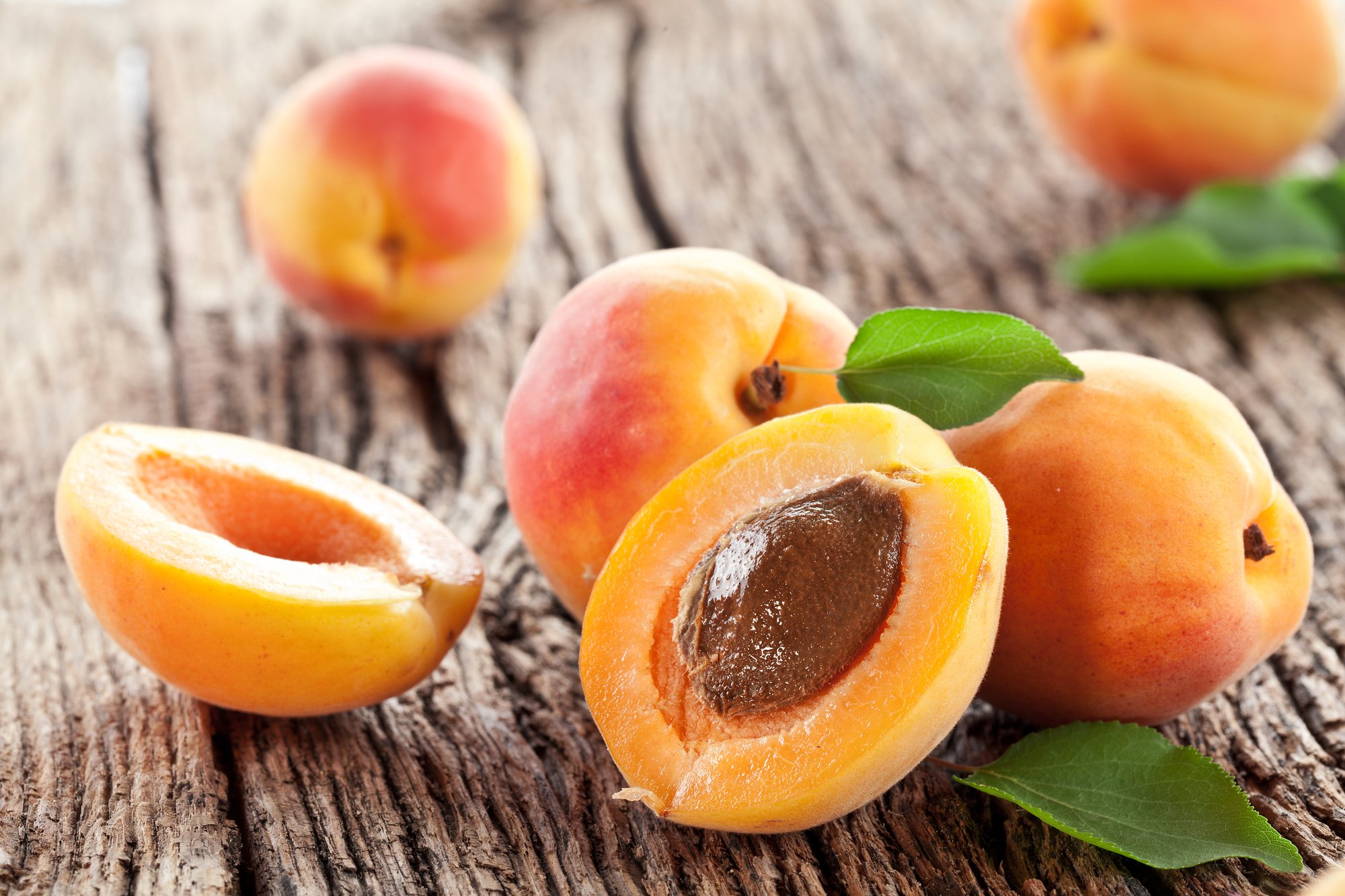 Apricot Day | Days Of The Year