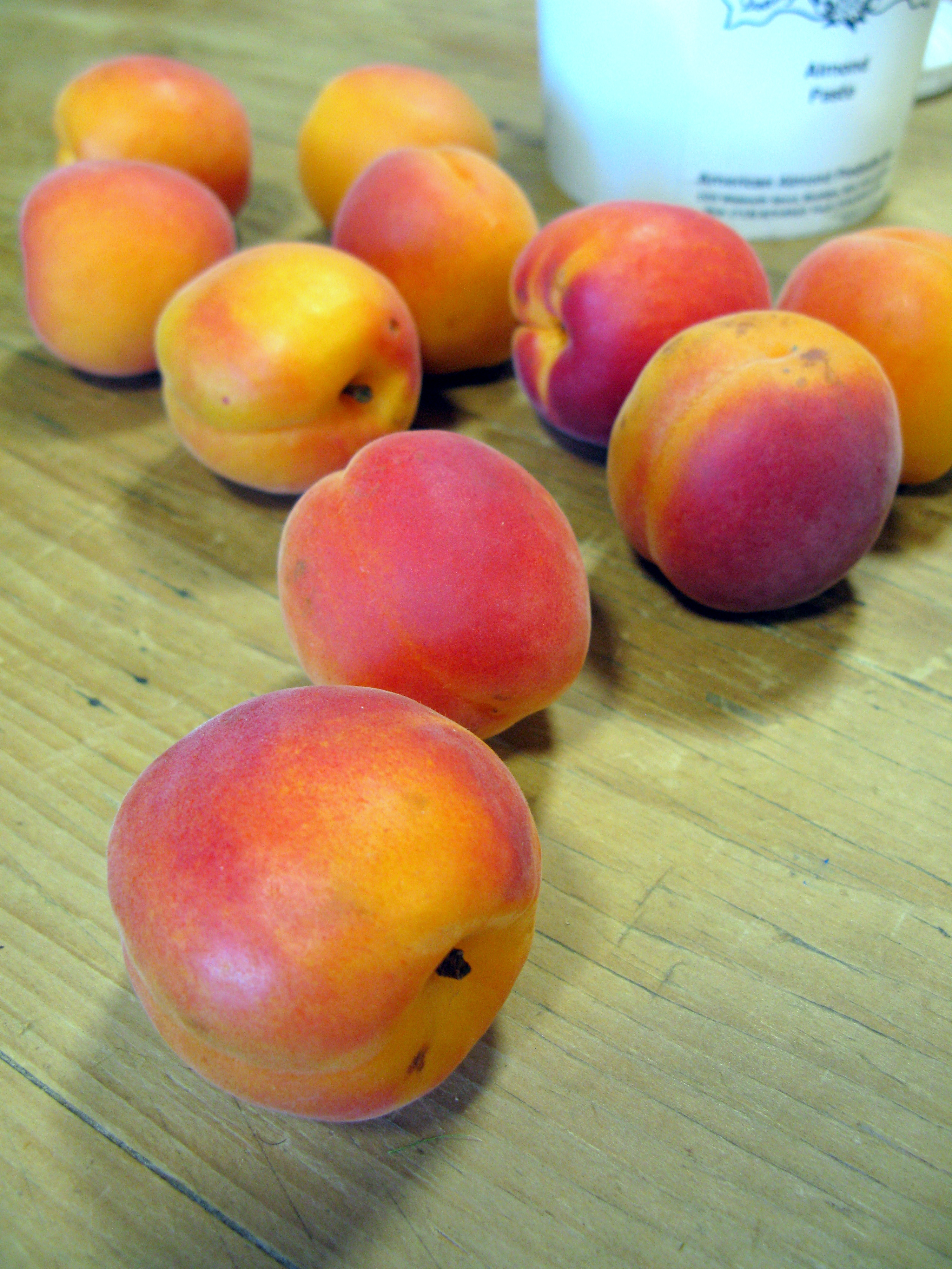 Summer Apricots, Baked with a Sweet Almond Filling | Priscilla Martel