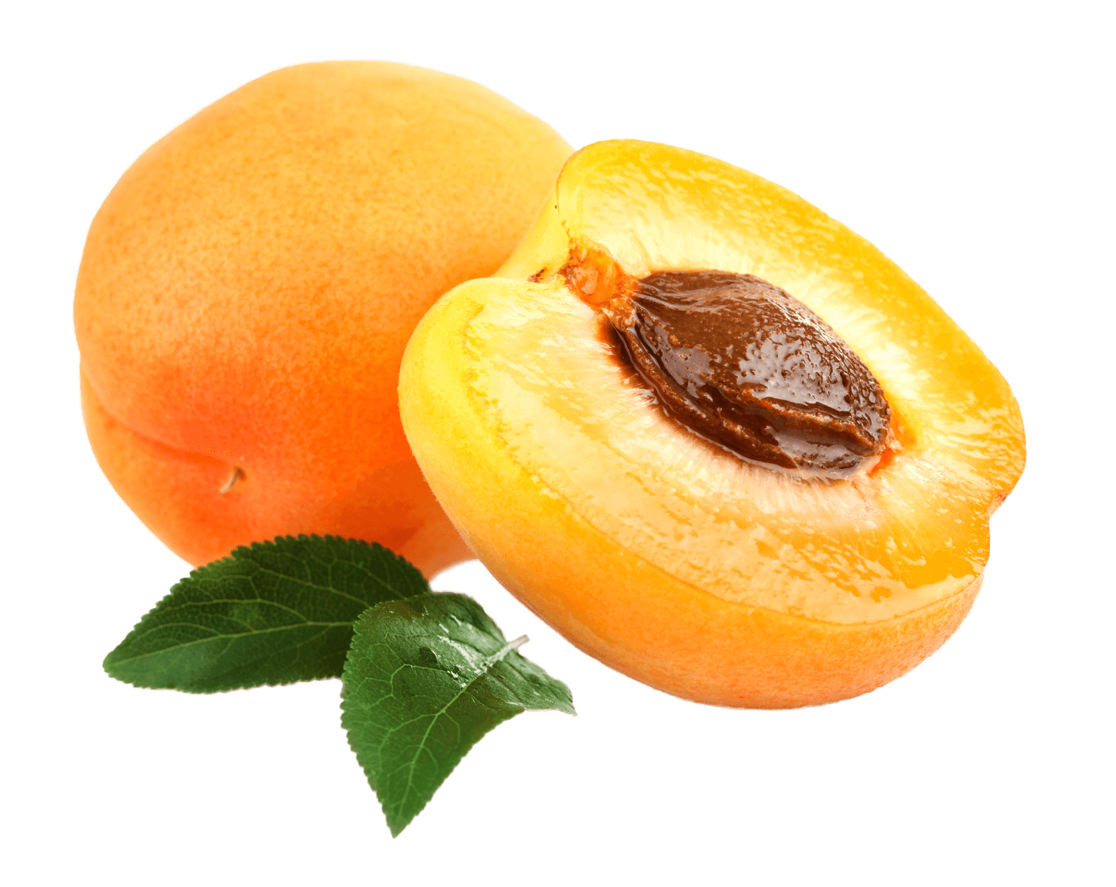 Apricot Open transparent PNG - StickPNG