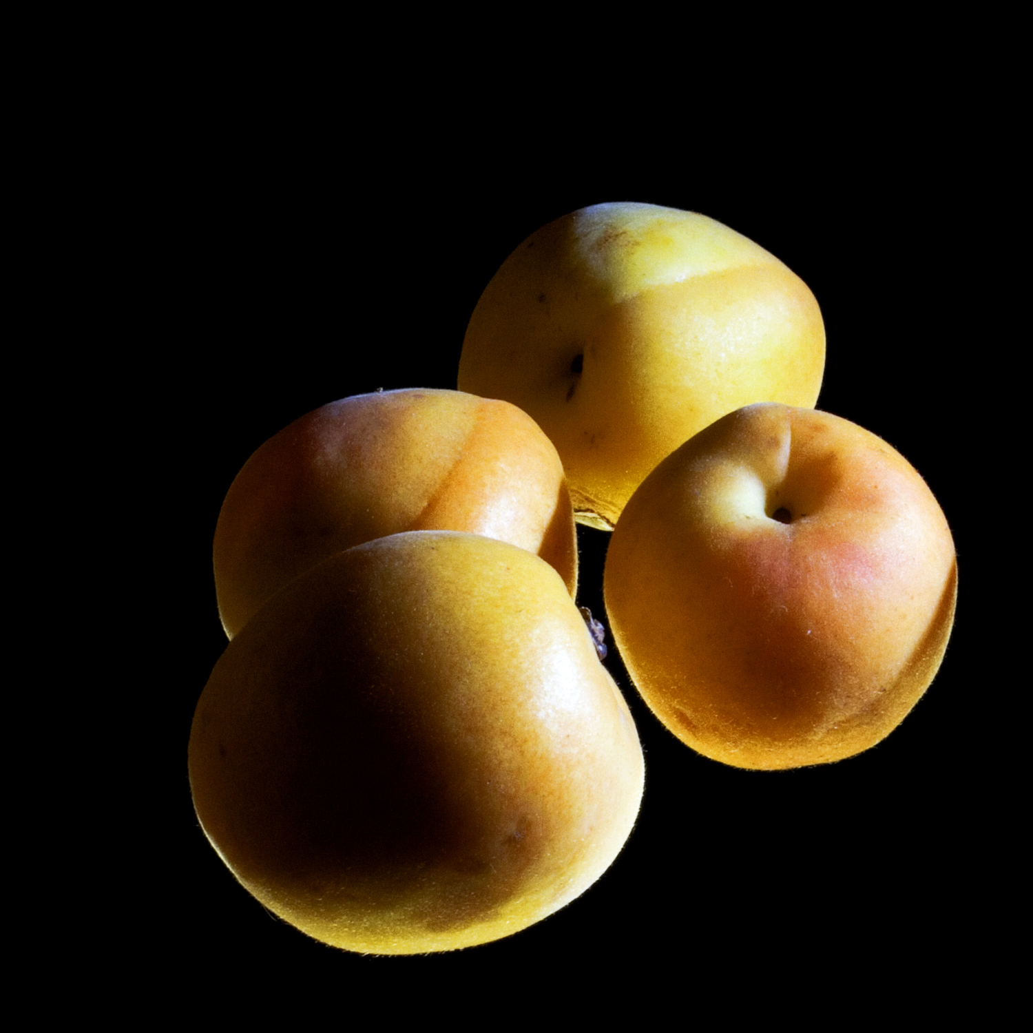 Apricots photo
