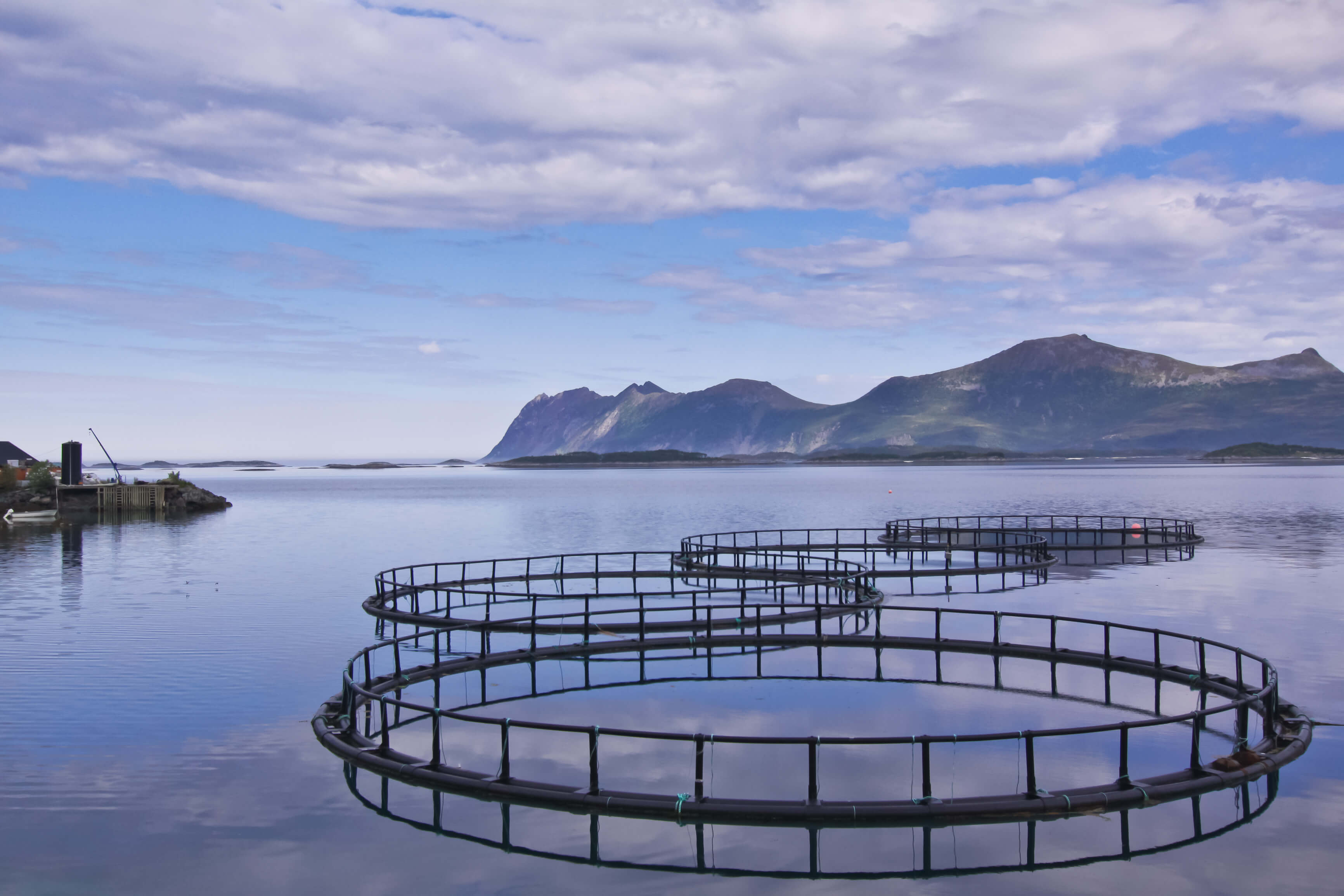 World Aquaculture Society: Aquaculture 2016