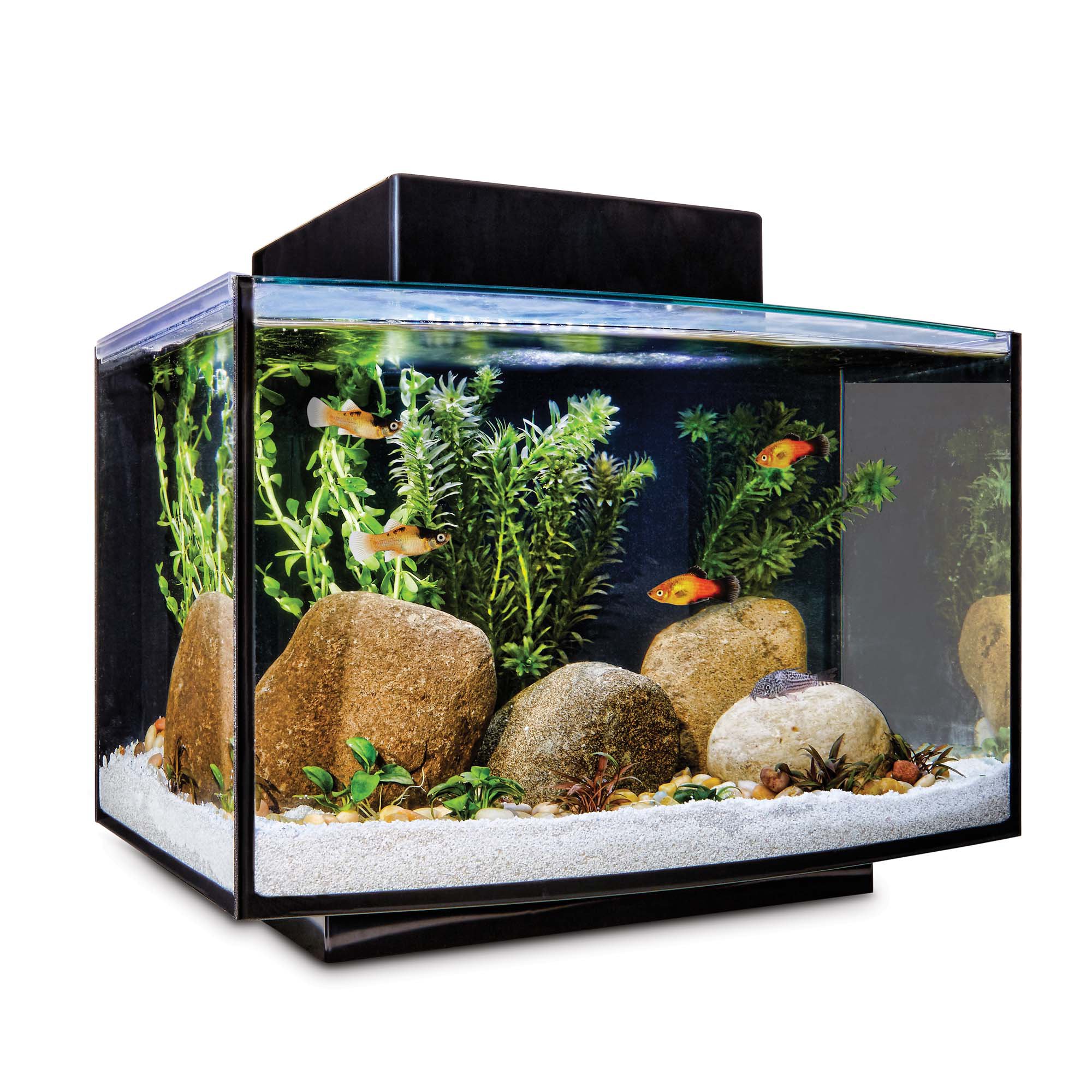 Fish Tanks: Saltwater & Freshwater Aquariums & Supplies | Petco