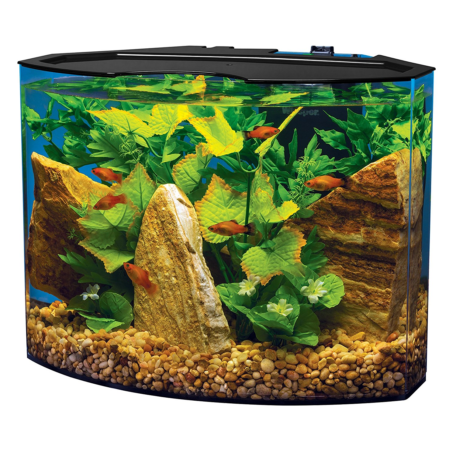 Amazon.com : Tetra Crescent Acrylic Aquarium Kit, Energy Efficient ...