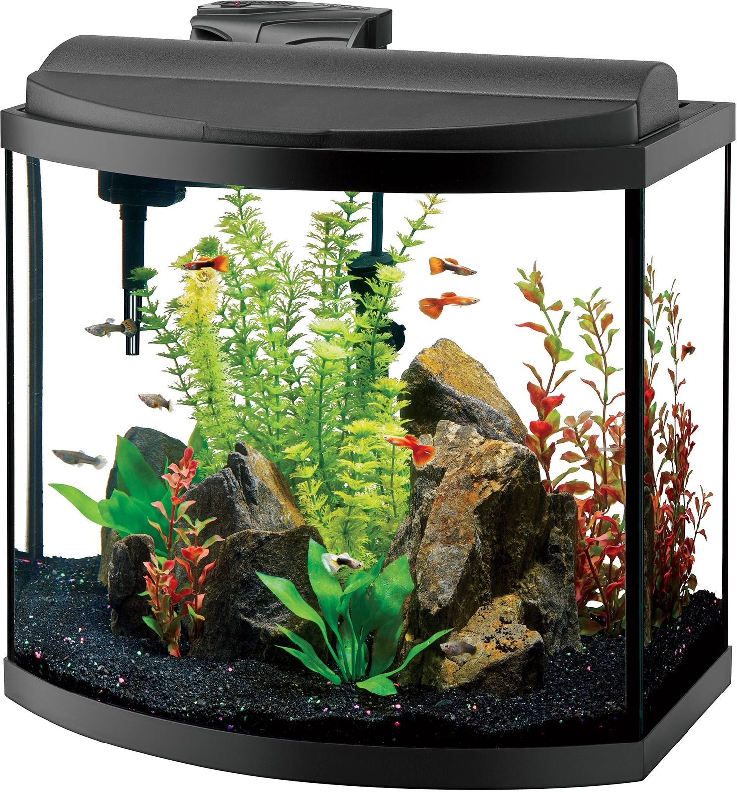 Aqueon Deluxe LED Bow Front Aquarium Kit Black 16 Gallon | eBay