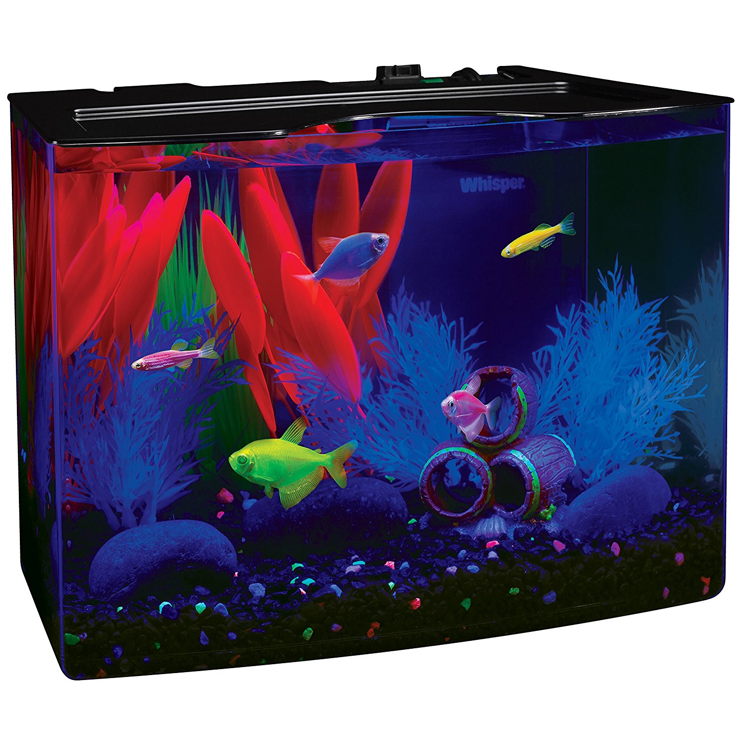Amazon.com : GloFish 3 Gallon Aquarium Kit w/Cover, Frame, LEDs ...