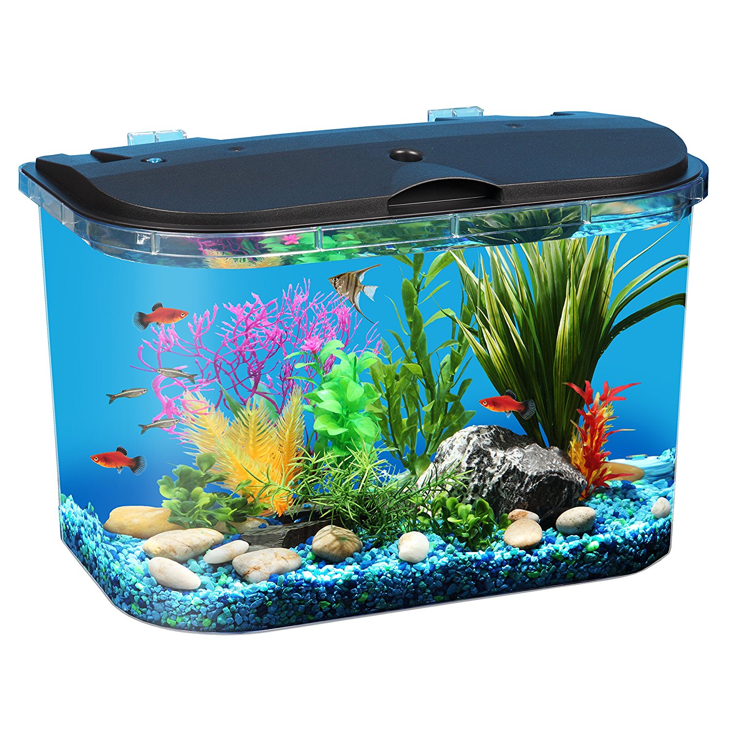 Amazon.com: Koller Products Panaview 5-Gallon Aquarium Kit with LED ...