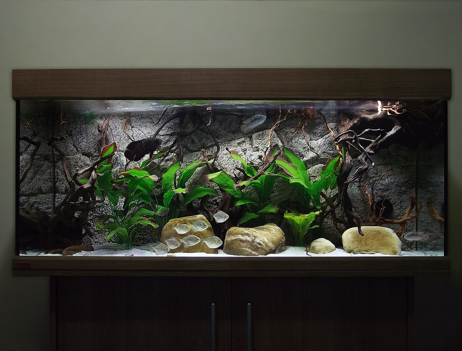 Sumatra 120x50 cm - ARSTONE Aquarium Backgrounds