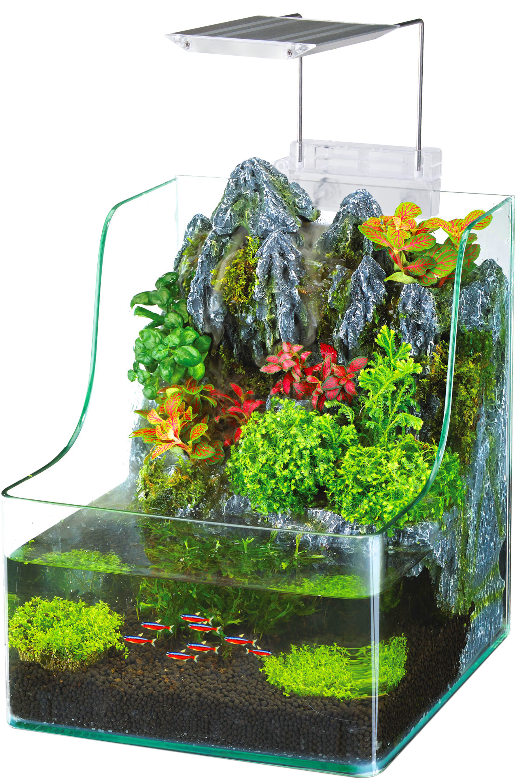 Penn Plax 1 Gallon AquaTerrium™ Aquarium Tank & Reviews | Wayfair