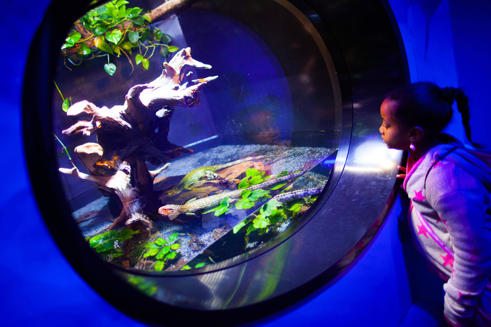 Aquarium Guided Tour | Discovery Place Science