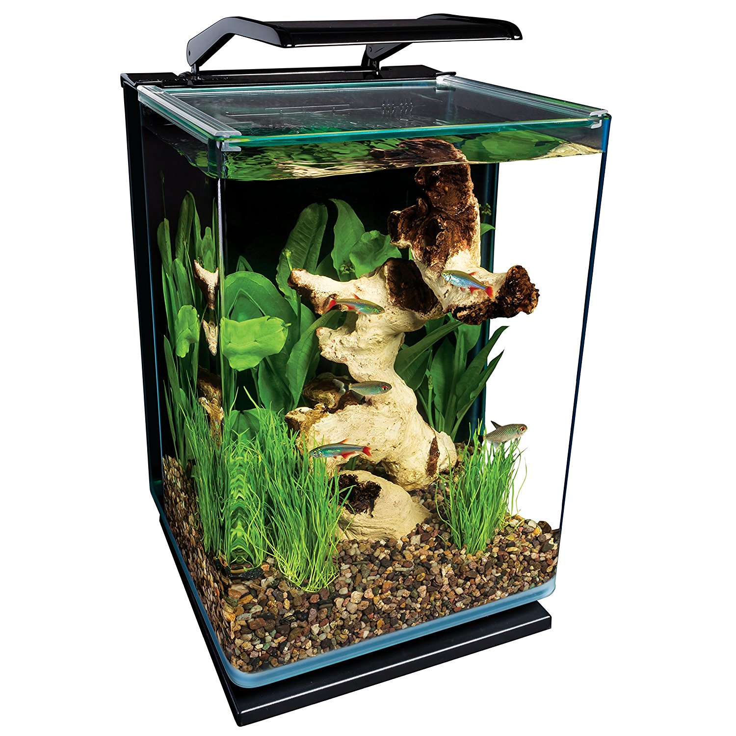 Amazon.com : MarineLand ML90609 Portrait Aquarium Kit, 5-Gallon w ...