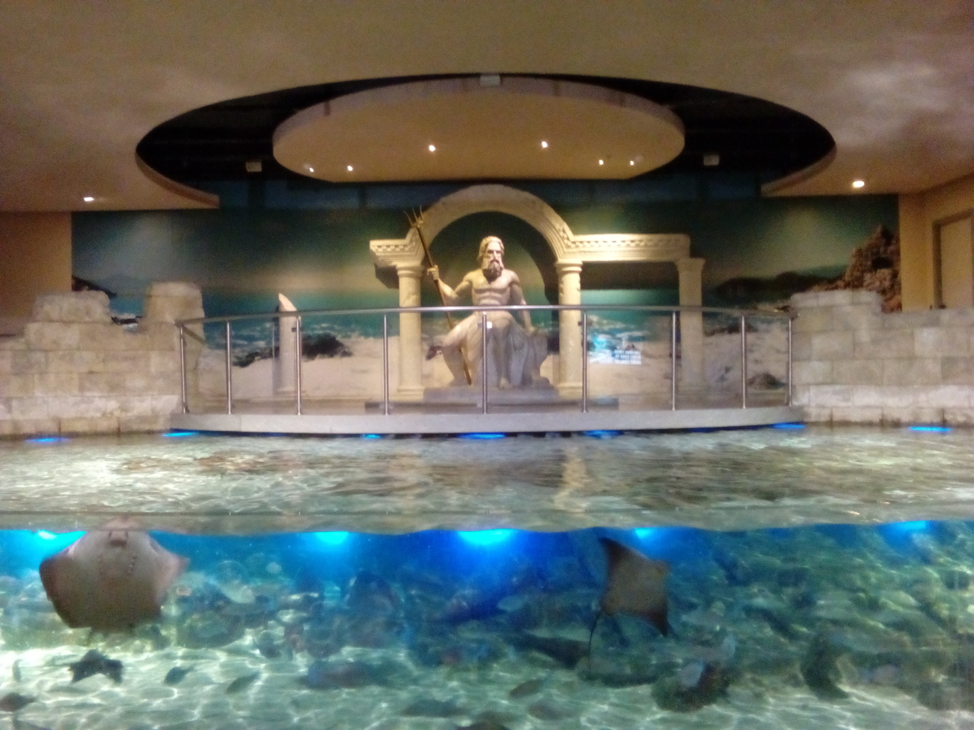 Istanbul Aquarium at Aqua Florya | What to do in Istanbul