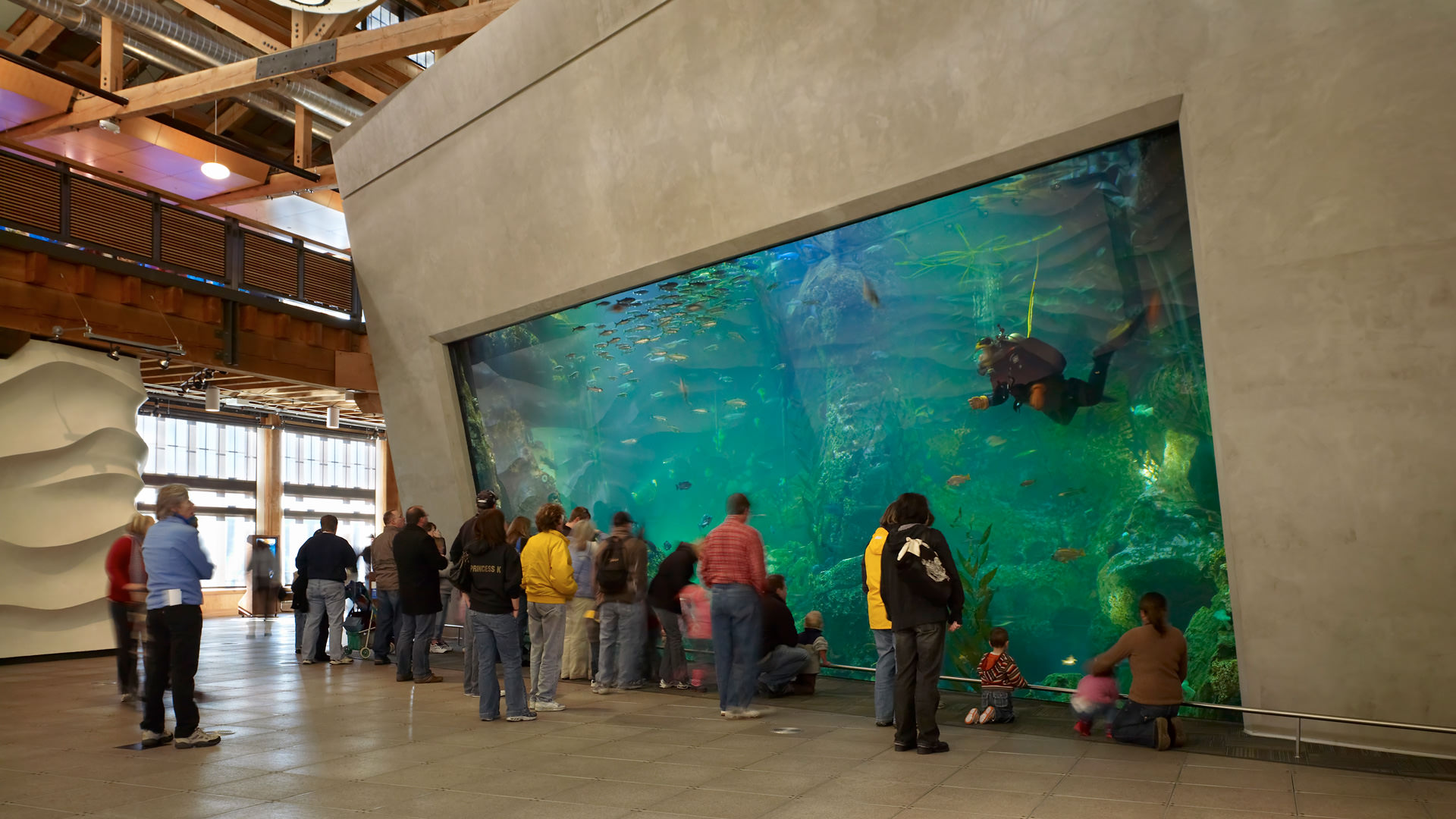 Seattle Aquarium - Mithun