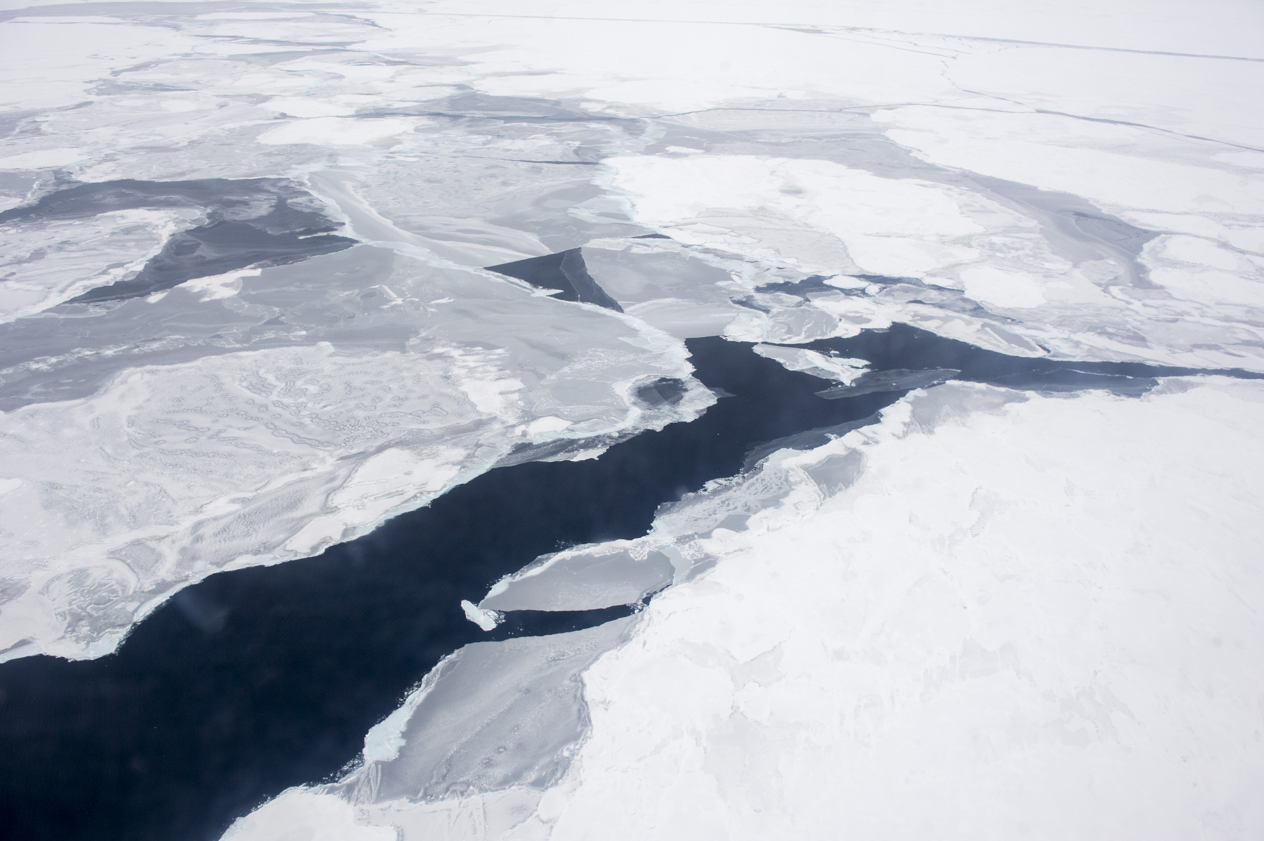 Северный Ледовитый океан со спутника
