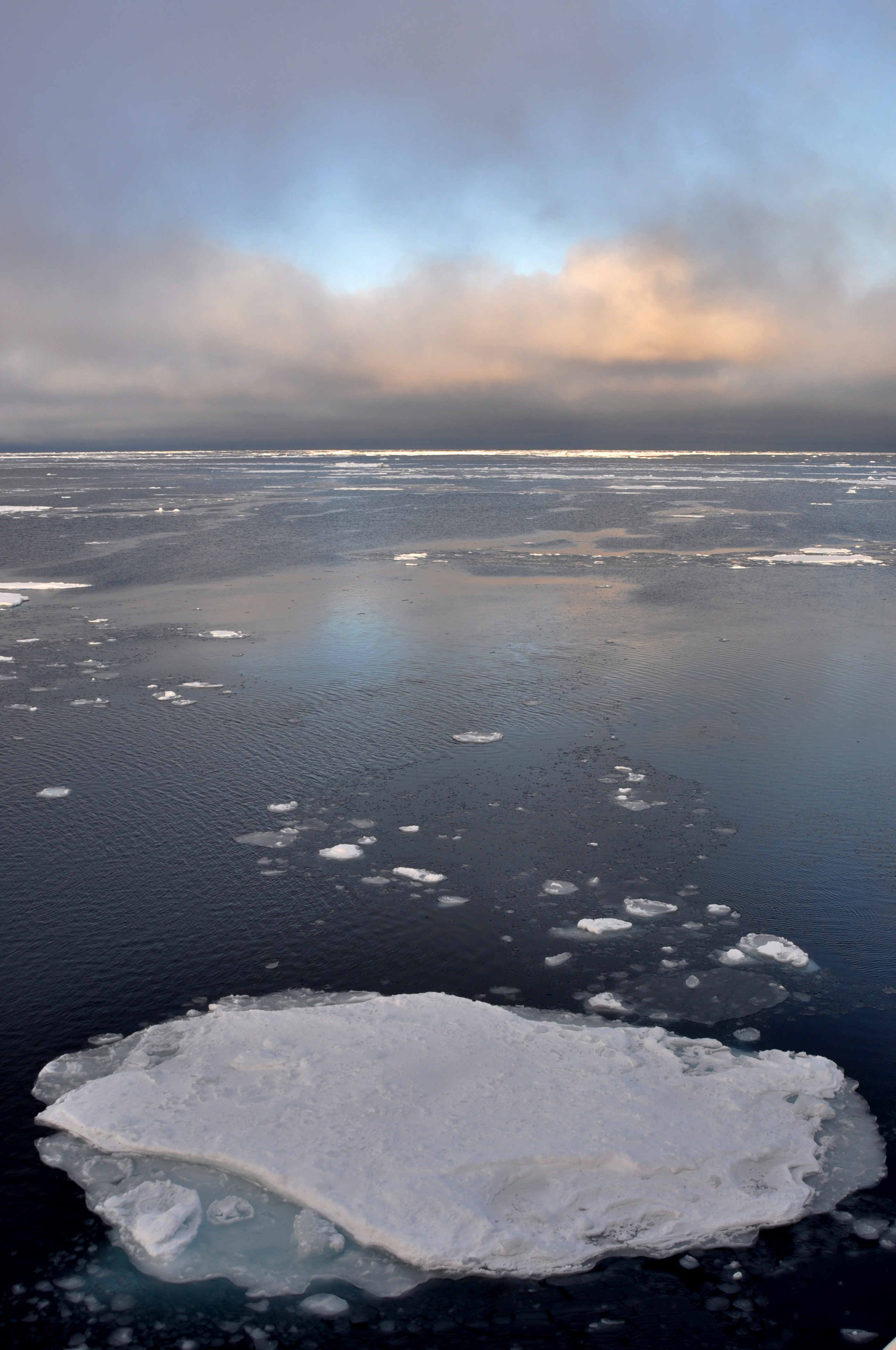 What is causing Arctic sea ice decline? | National Snow and Ice Data ...