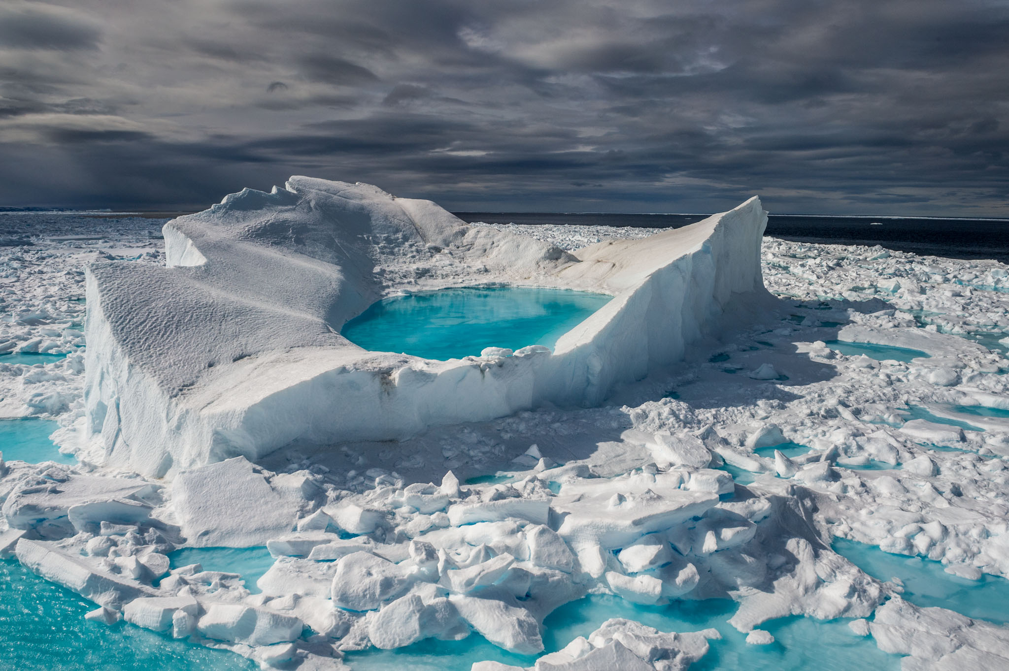 Arctic Wildlife's Last Habitat Will Be Ice Strip