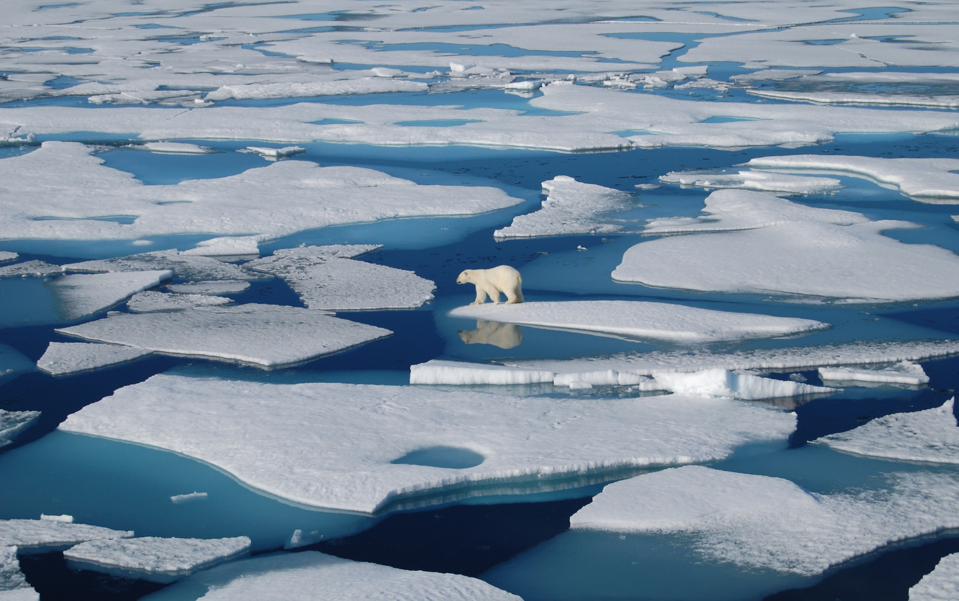 Study reveals how Arctic Ocean drives ice melt – Sydney Chapman ...