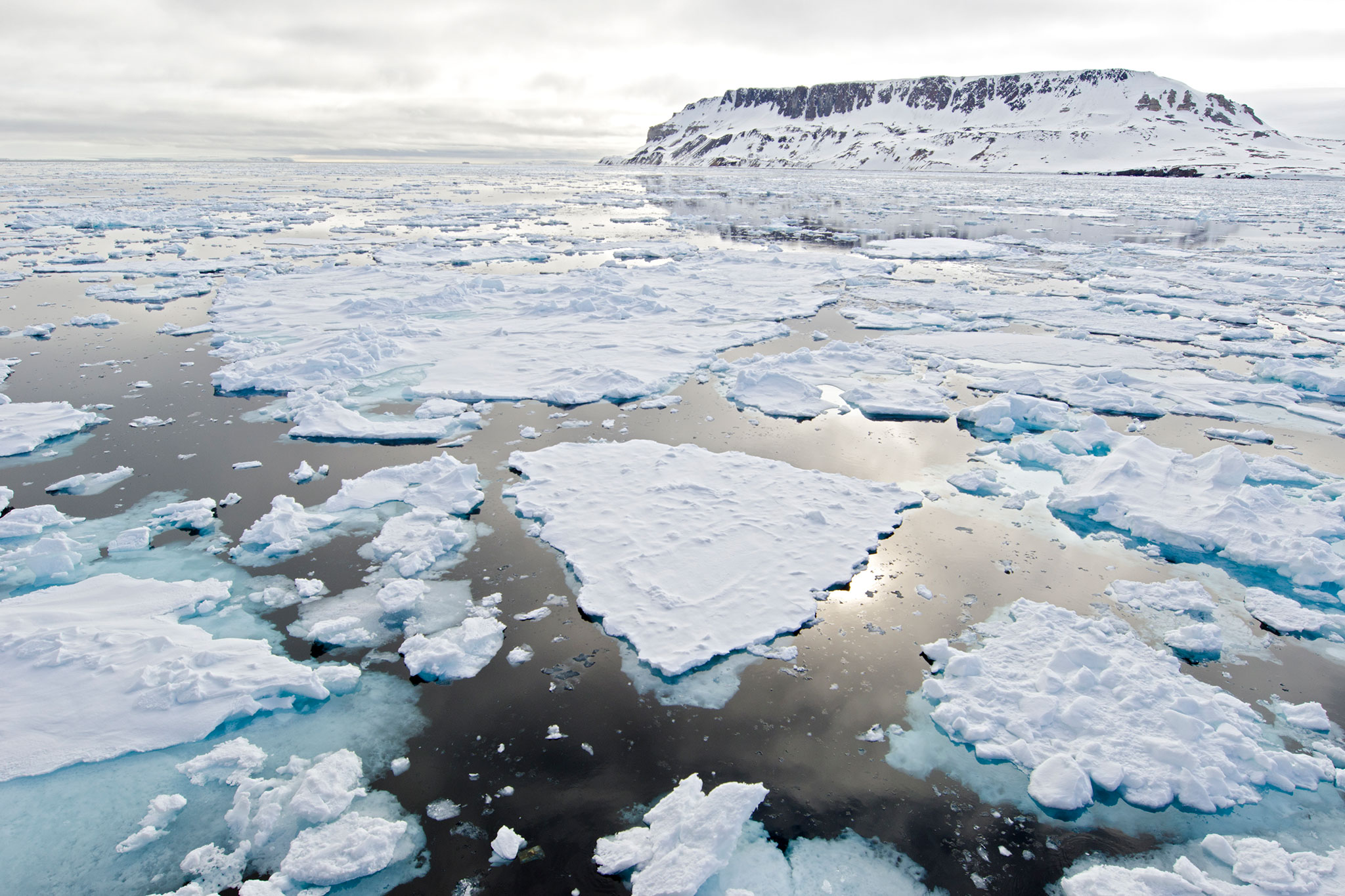 Arctic Sea Ice Is Second-Lowest on Record, Thanks to Warming