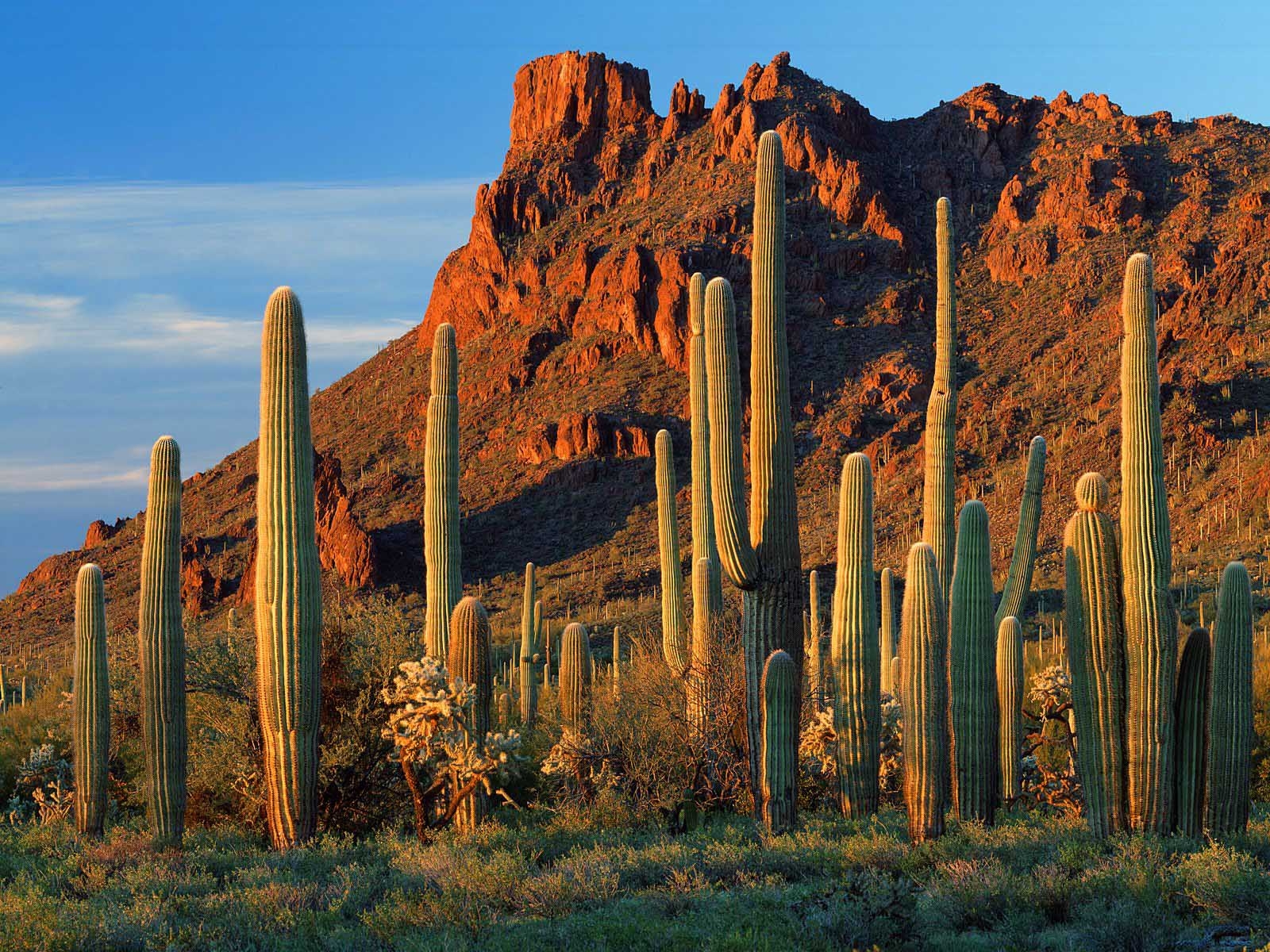 Arizona's Economy Poised For Continued Growth | Office of the ...