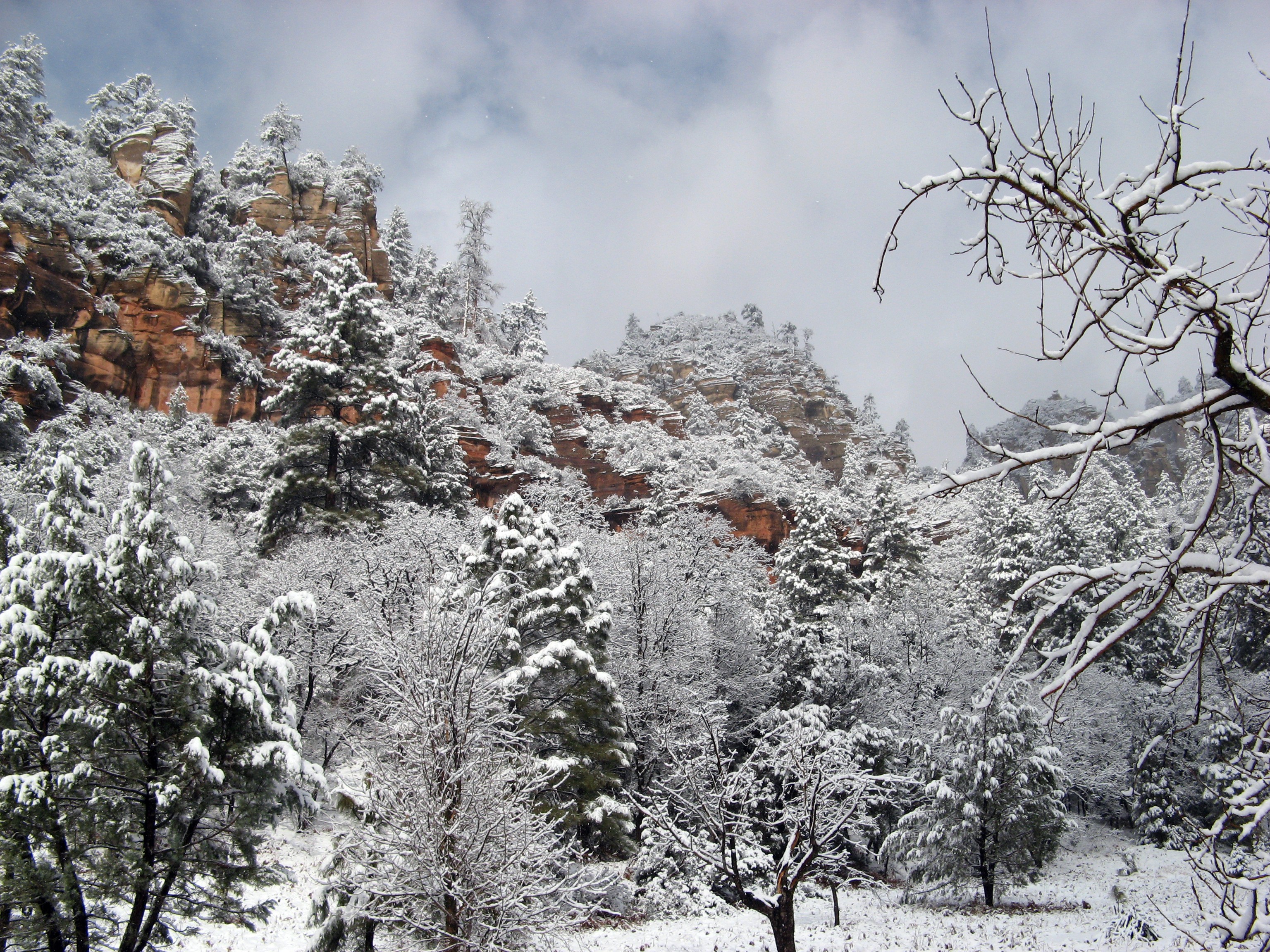 Where to See Snow in Arizona During Winter 2017 | Phoenix New Times