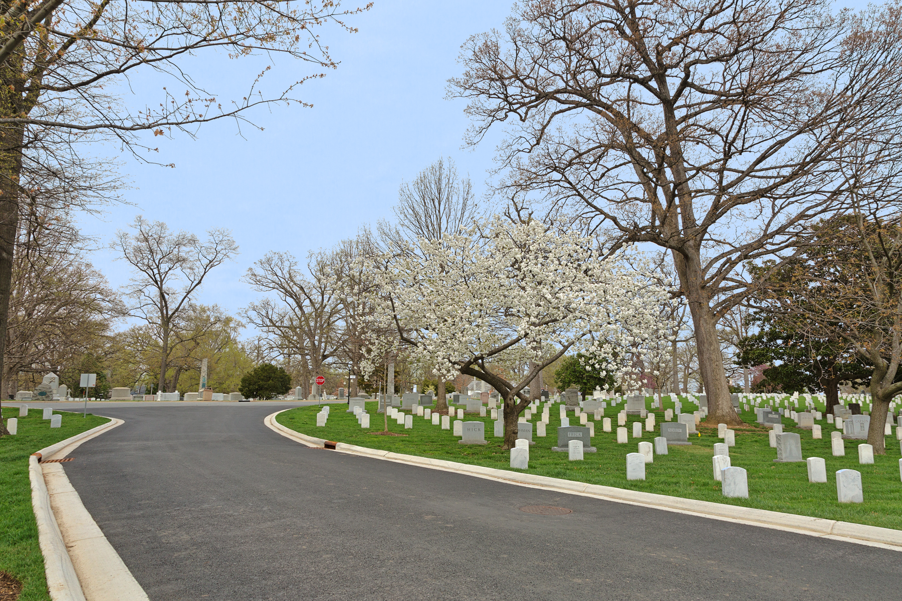 Arlington Cemetery Road - HDR, America, Soldier, Serrulata, Serenity, HQ Photo