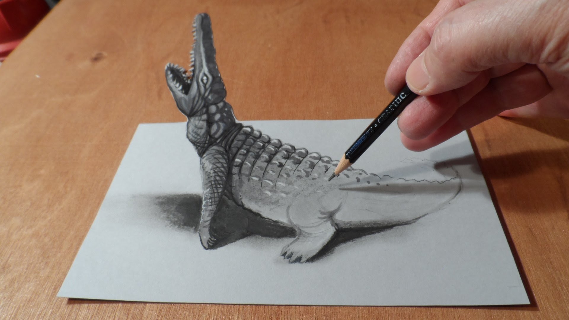 How to Draw Crocodile - Drawing 3D Crocodile - 3D Trick Art - YouTube