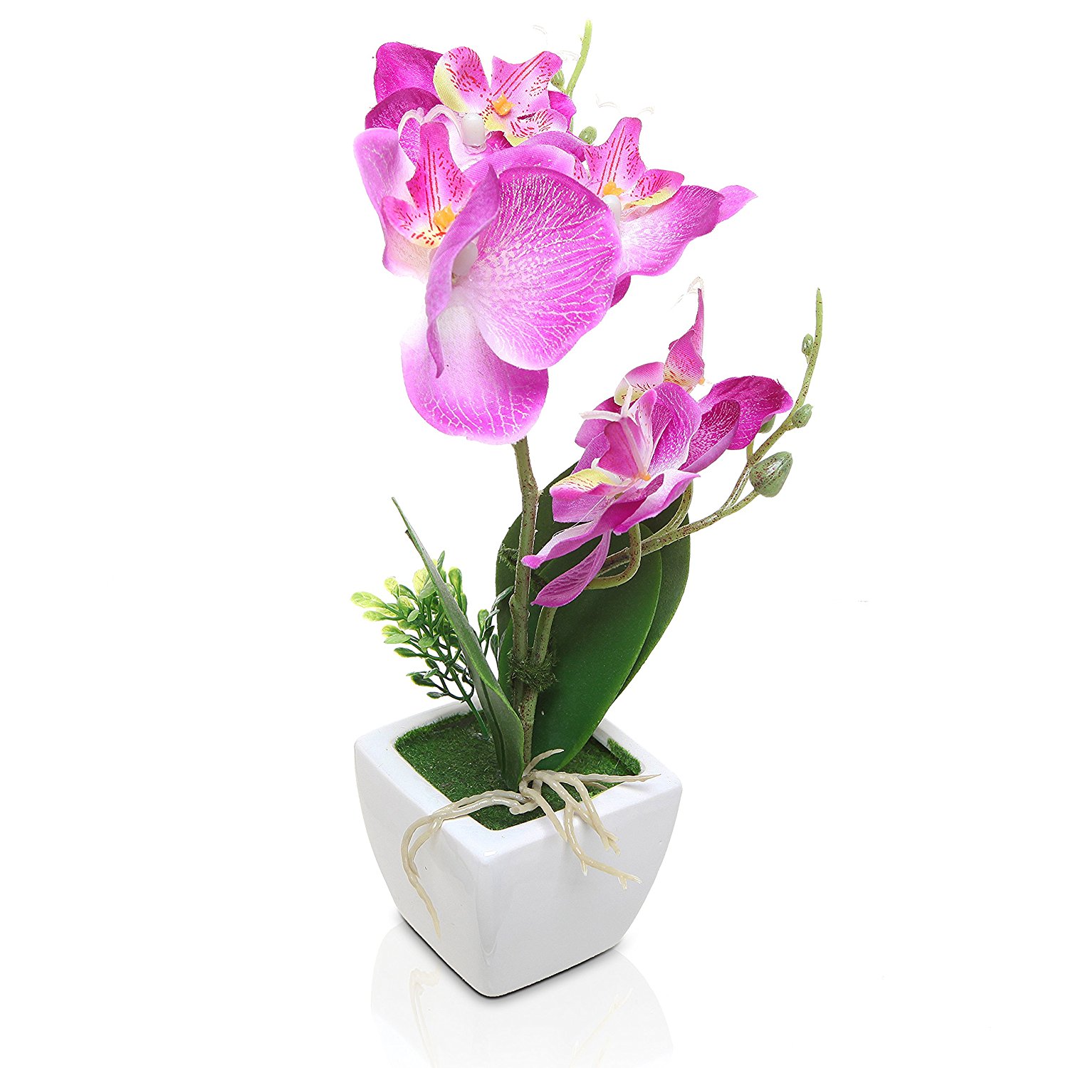 Amazon.com: MyGift Purple Silk Lady Slipper Orchids / Decorative ...