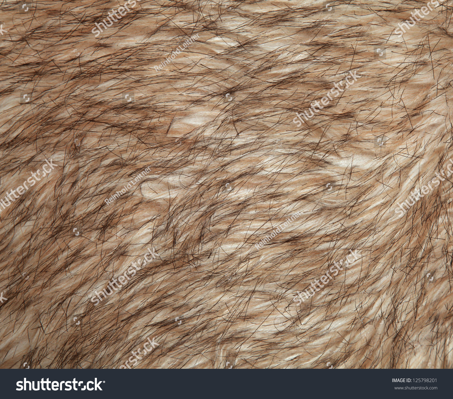 Artificial Fur Texture Background Stock Photo 125798201 - Shutterstock