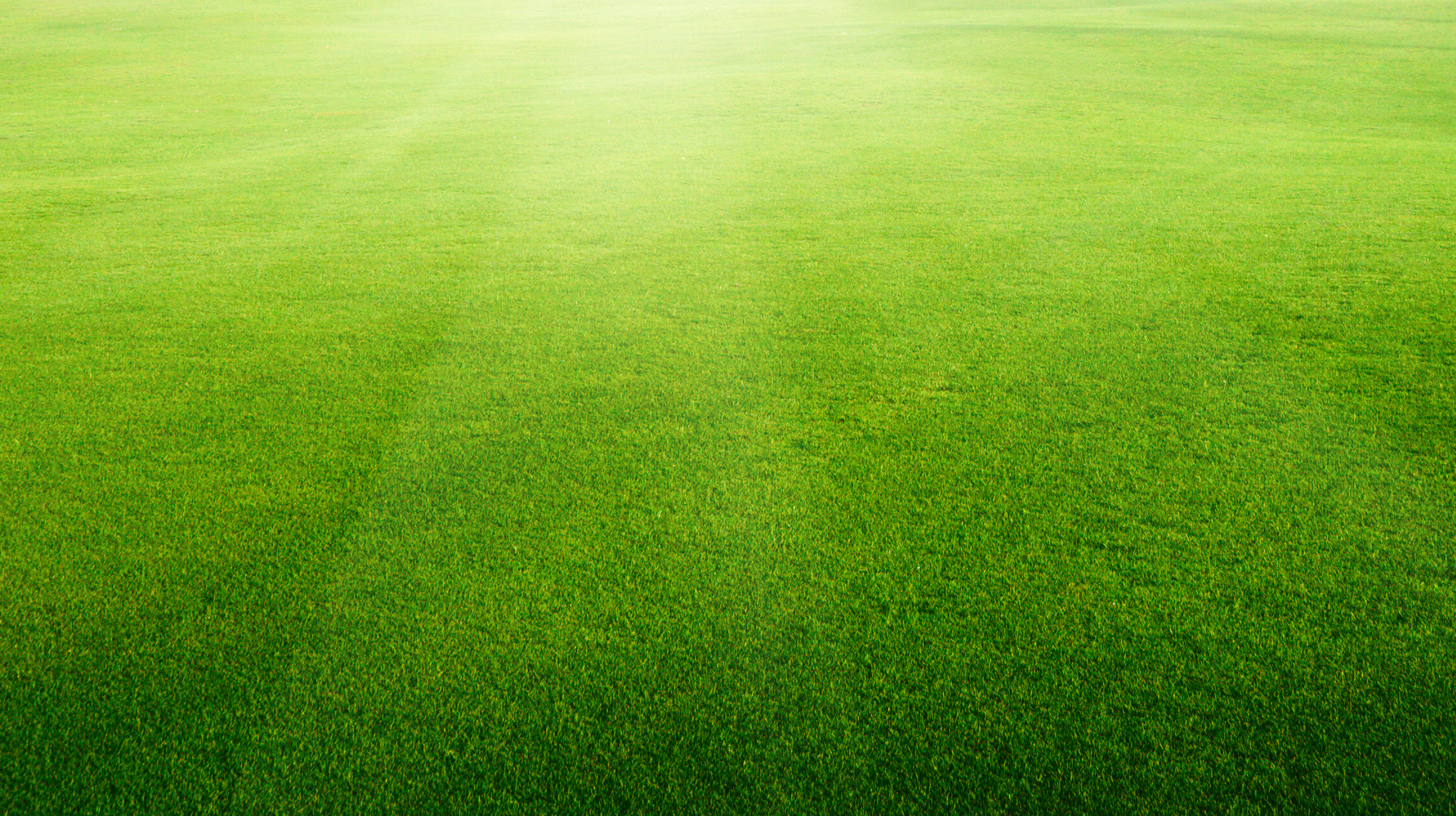 Artificial Turf Football field